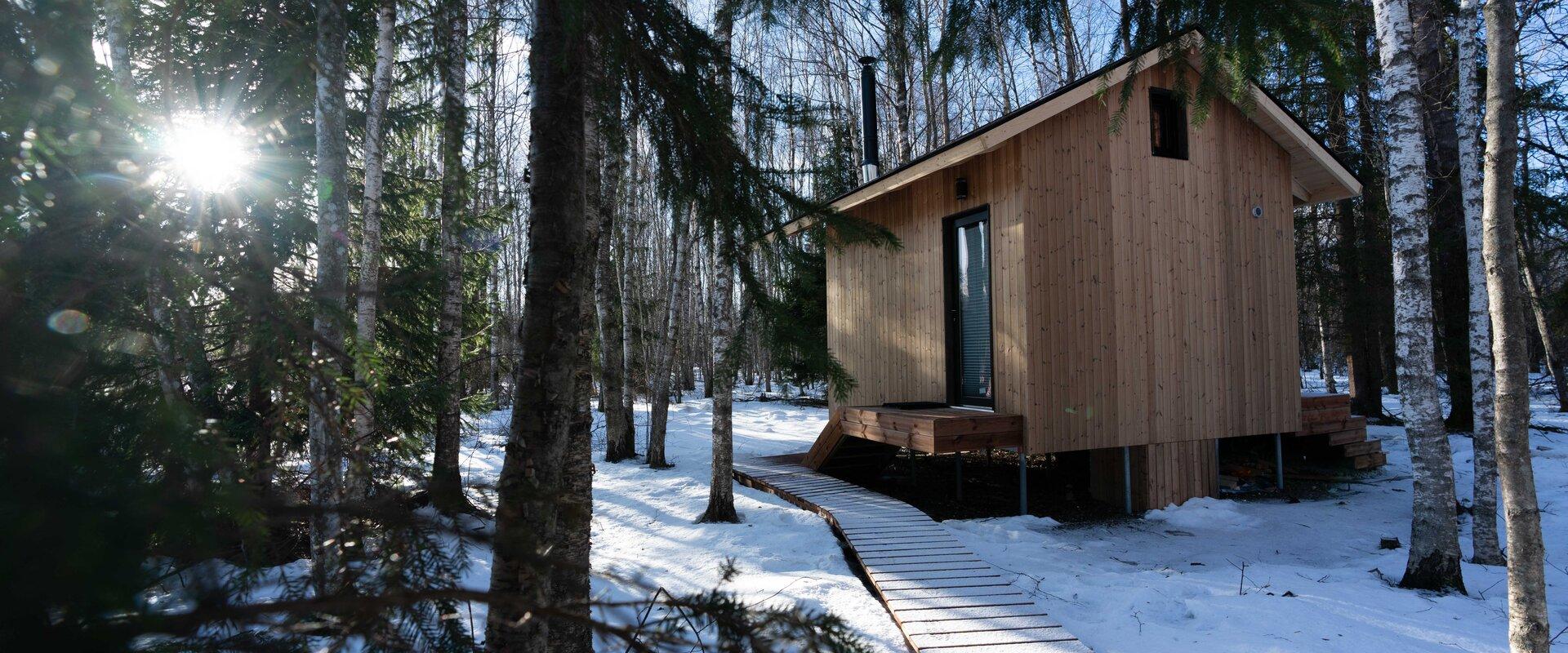 Paunküla "Metsavaade" metsamajake talvises metsas