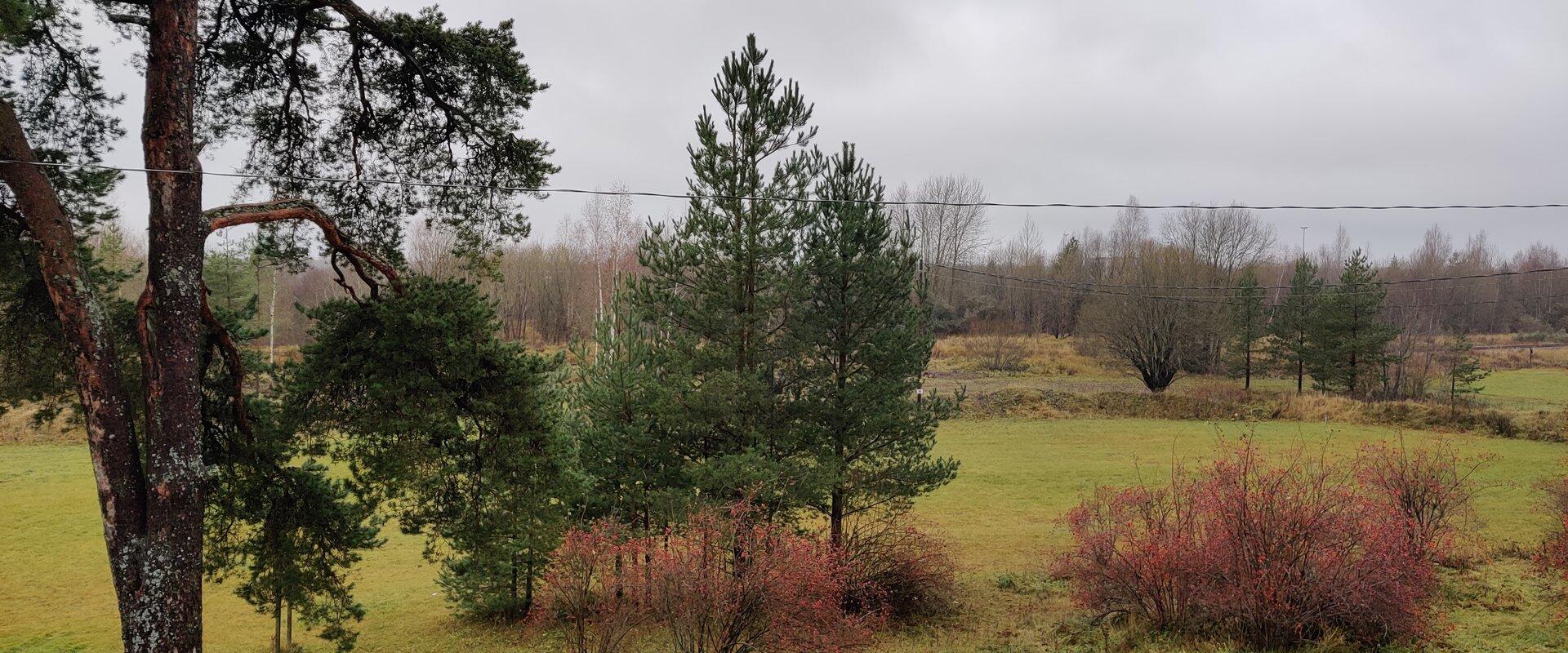 Tapa Cottage - puhkemaja discgolfi ja suusaradade kõrval.