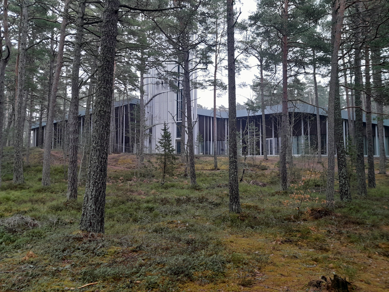 Hidden Gems of Northern Estonia daytrip - Arvo Pärt Centre