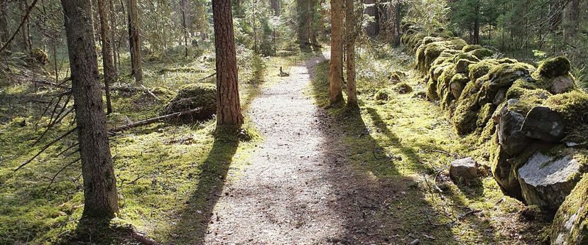 LA`Tours rännakud Lahemaal
