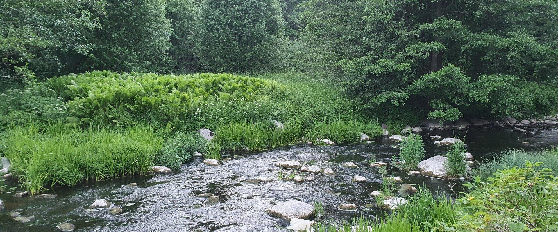 LA`Tours rännakud Lahemaal