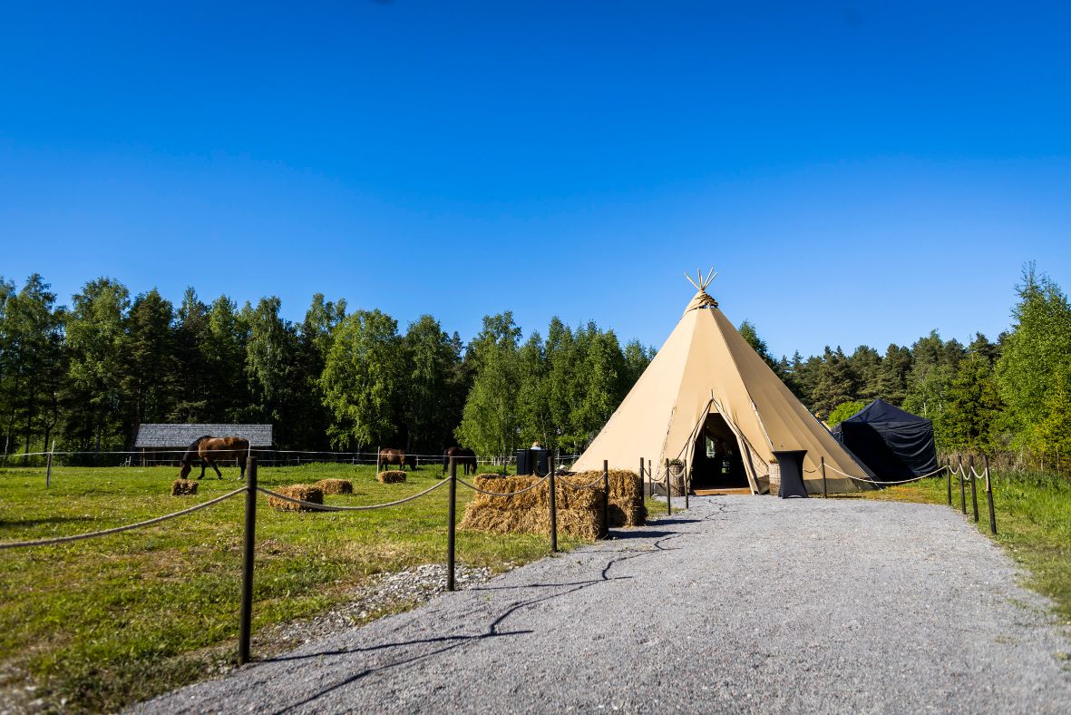 Toiduakadeemia meelelahutuslik ühiskokkamine „ Eesti suve maitsed“