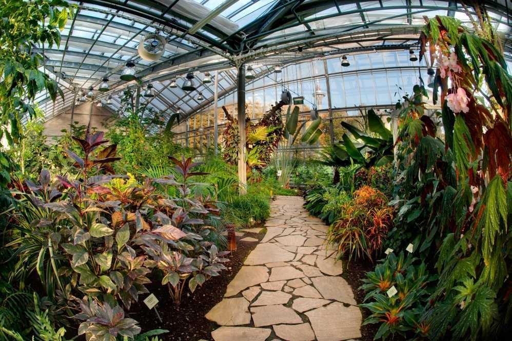 Botanischer Garten Tallinn