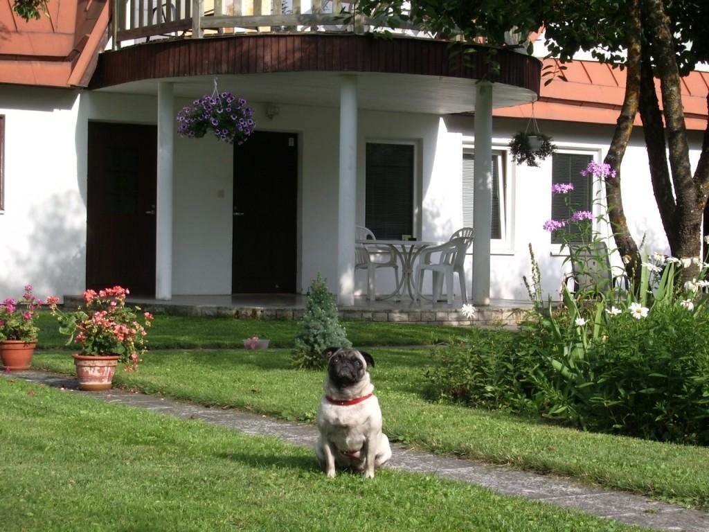 Männi Holiday House