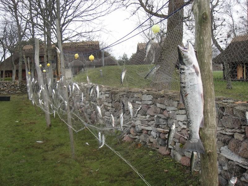 Ferienhof Mardi