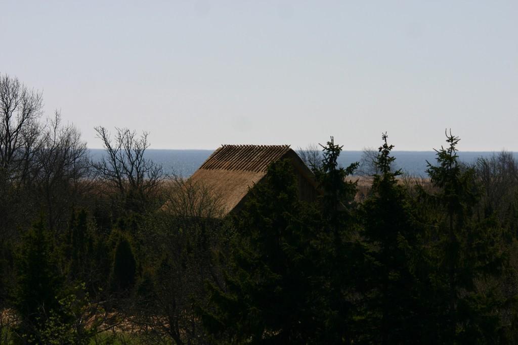 Das Ferienhaus Aadukivi