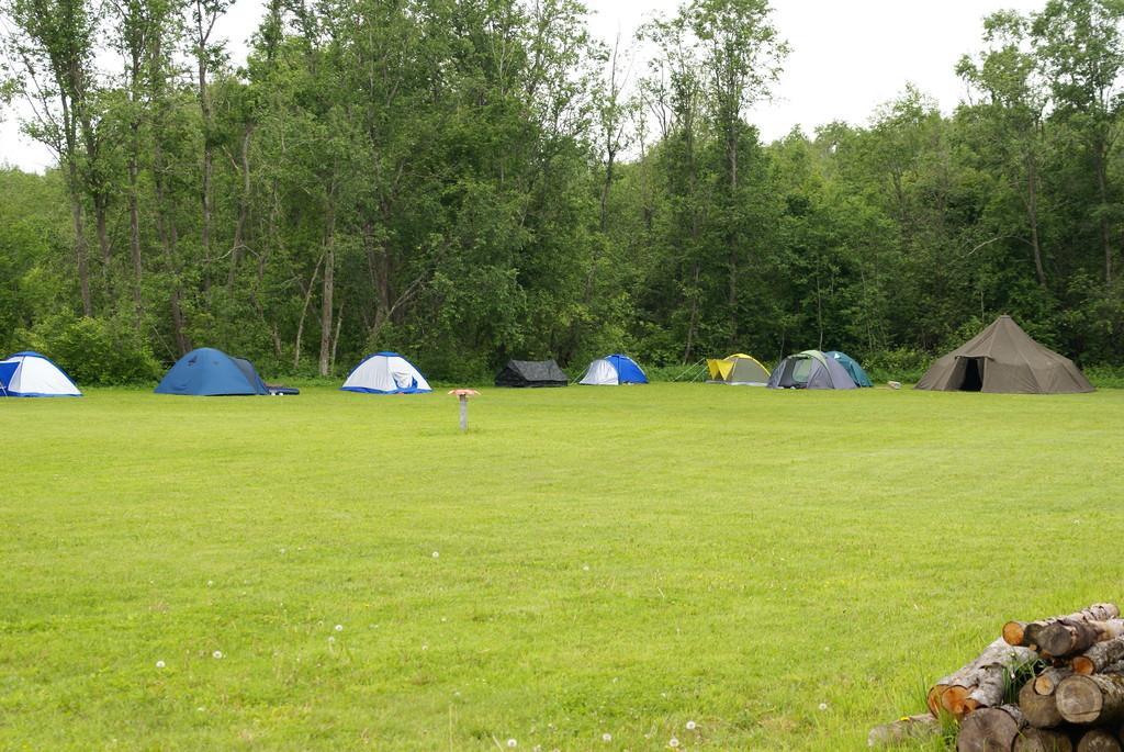 Käbala kämping - telkimisala