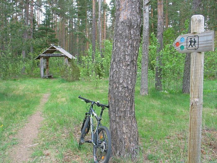 Võsu-Nõmmeveski hiking trail