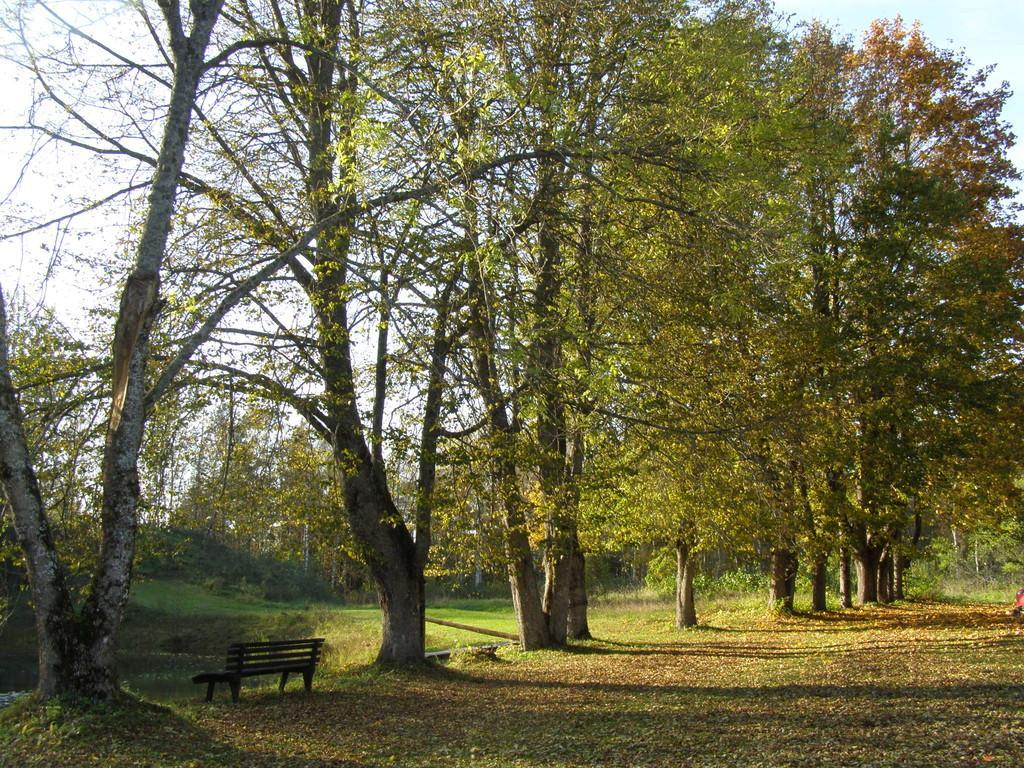 Häuslerstelle auf dem Linnumäe Loodustalu (Naturbauernhof Linnumäe)