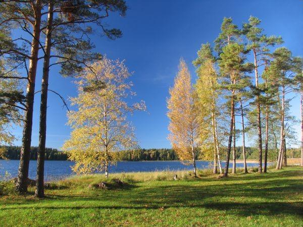 Visitor Centre of Karula National Park by Lake Ähijärv