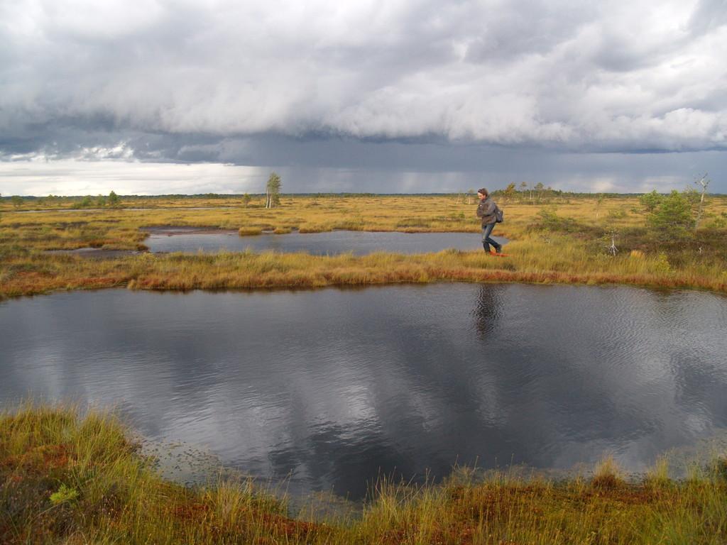 Cranberry hike in Soomaa bogs