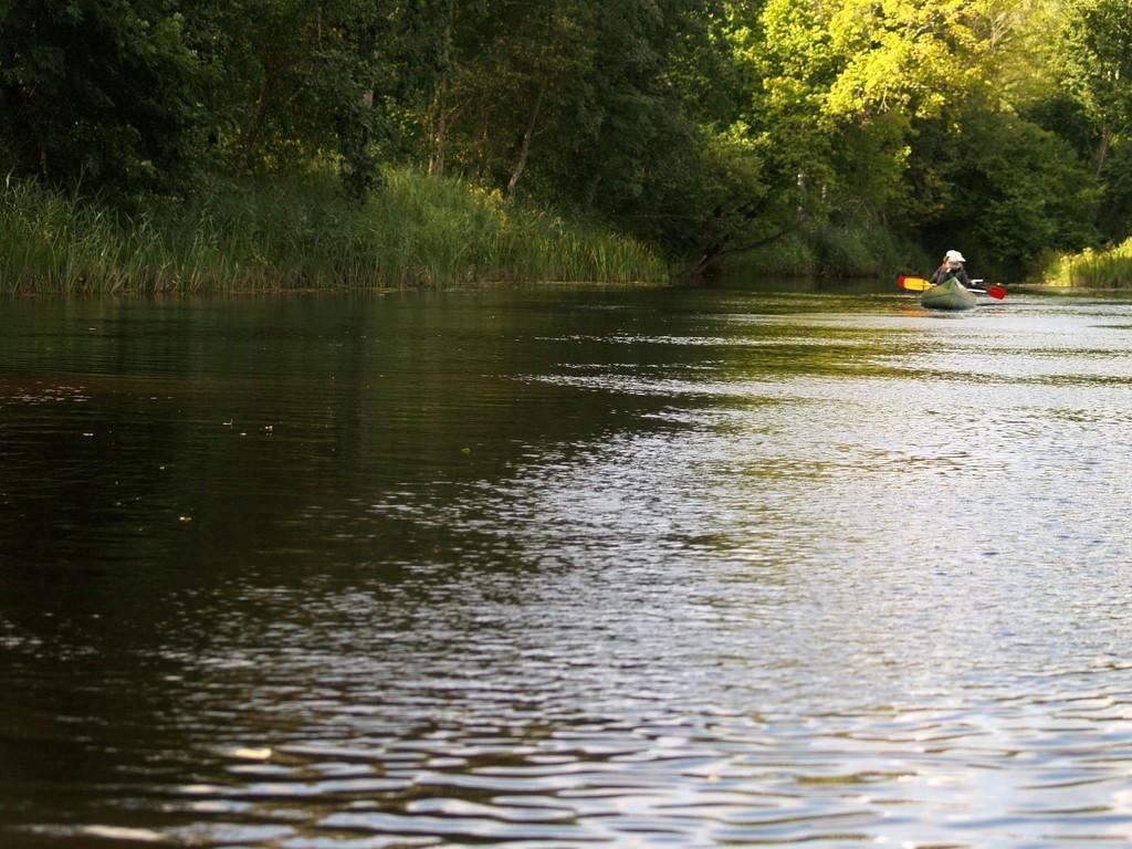 Enjoying the autumn colours of Soomaa on a canoeing trip!