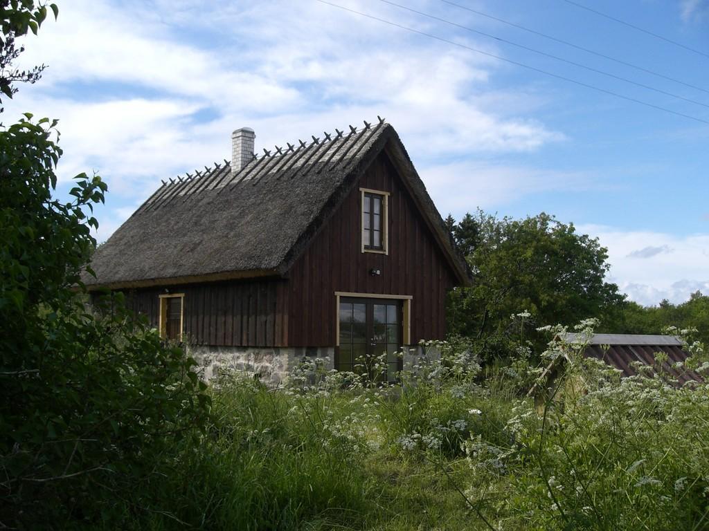 Bauernhof Rukkilille (Kornblume)