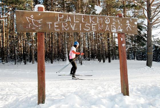 Gesundheits- und Skipfade im Wald Palermo in Rakvere