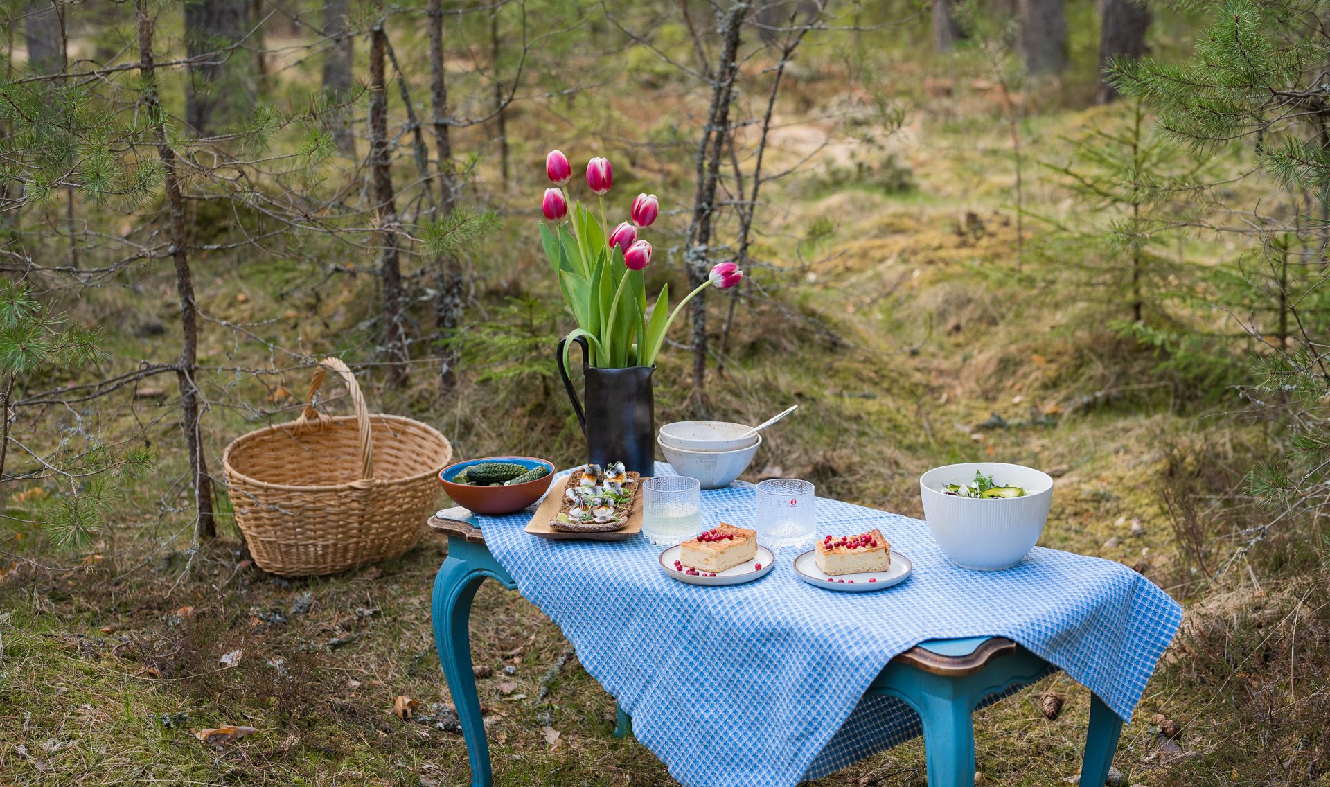 Lahemaa piknikupäev
