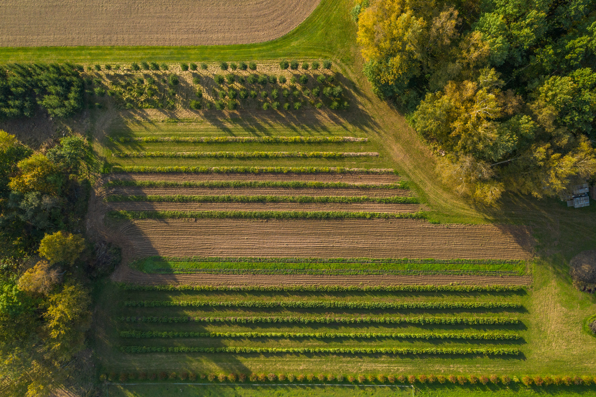 Fields at Langemaa Winery