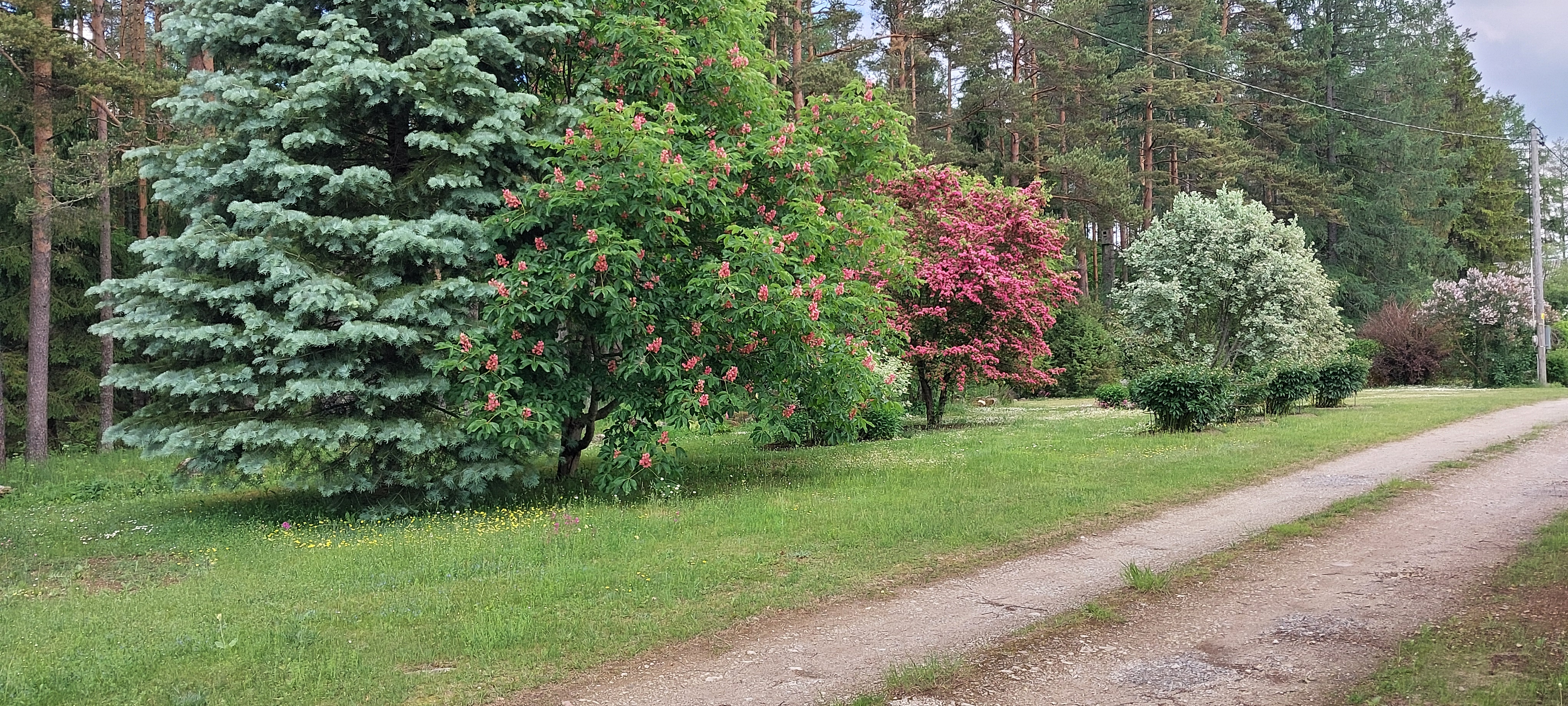 Metsaveere Turismitalu Kodumajutus