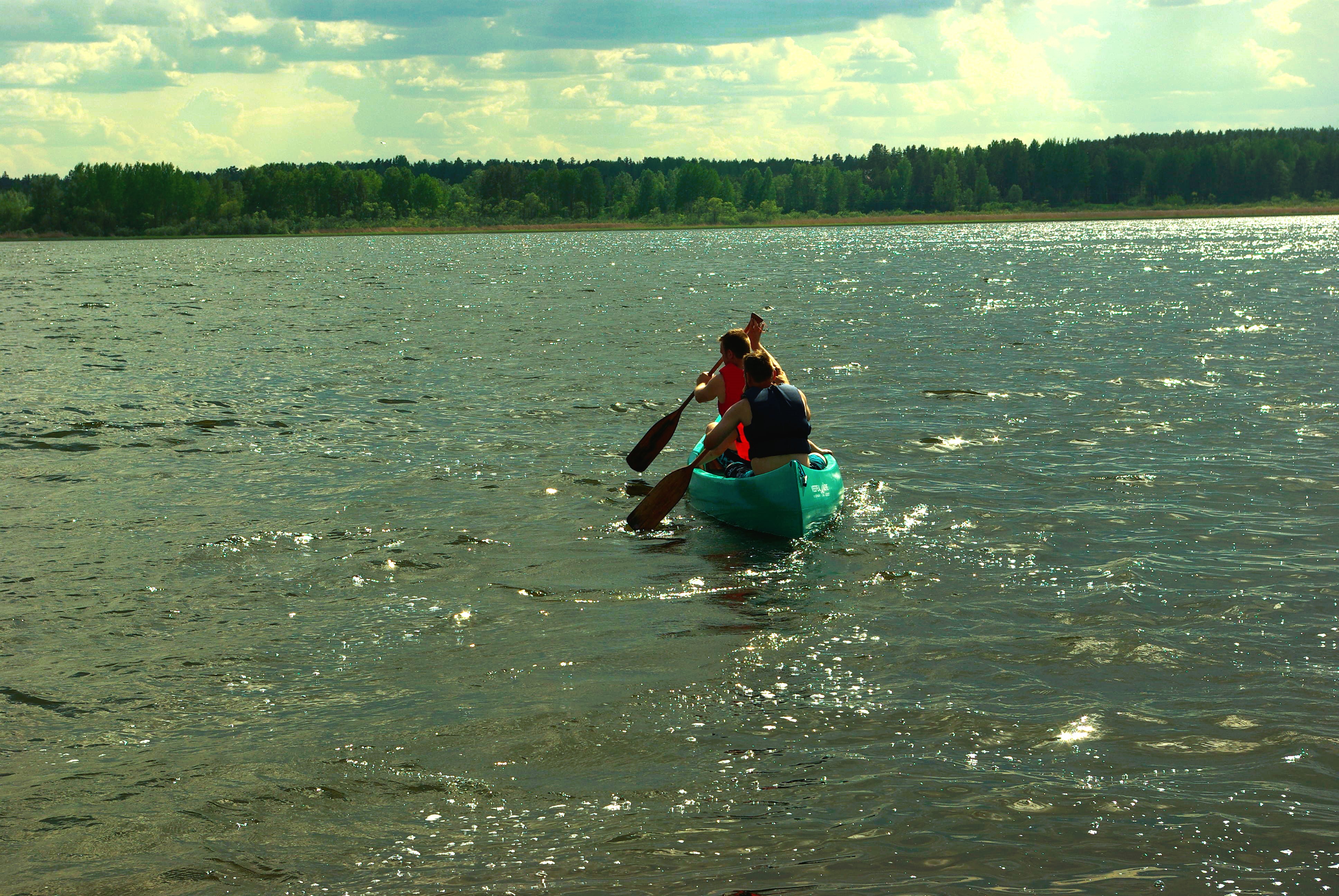 Järvel
