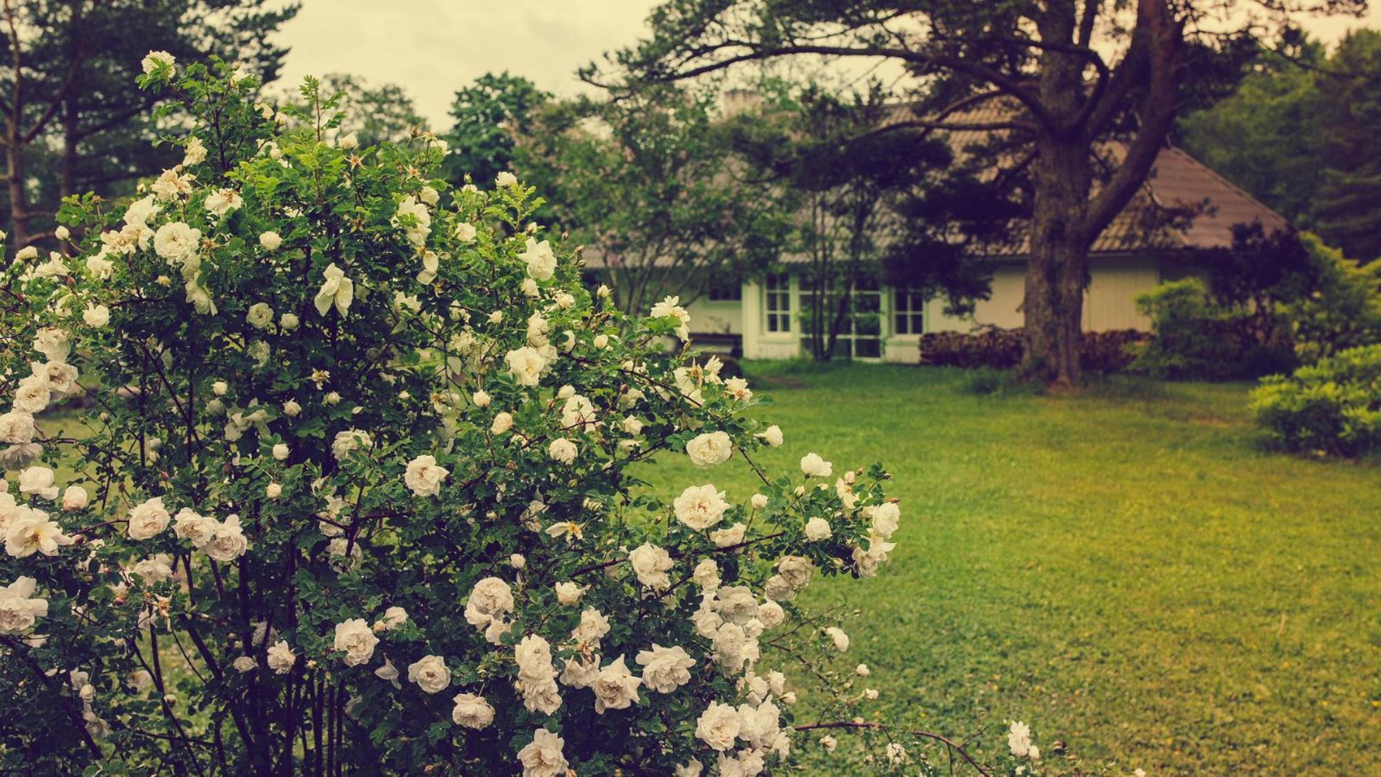 Adam Farm courtyard