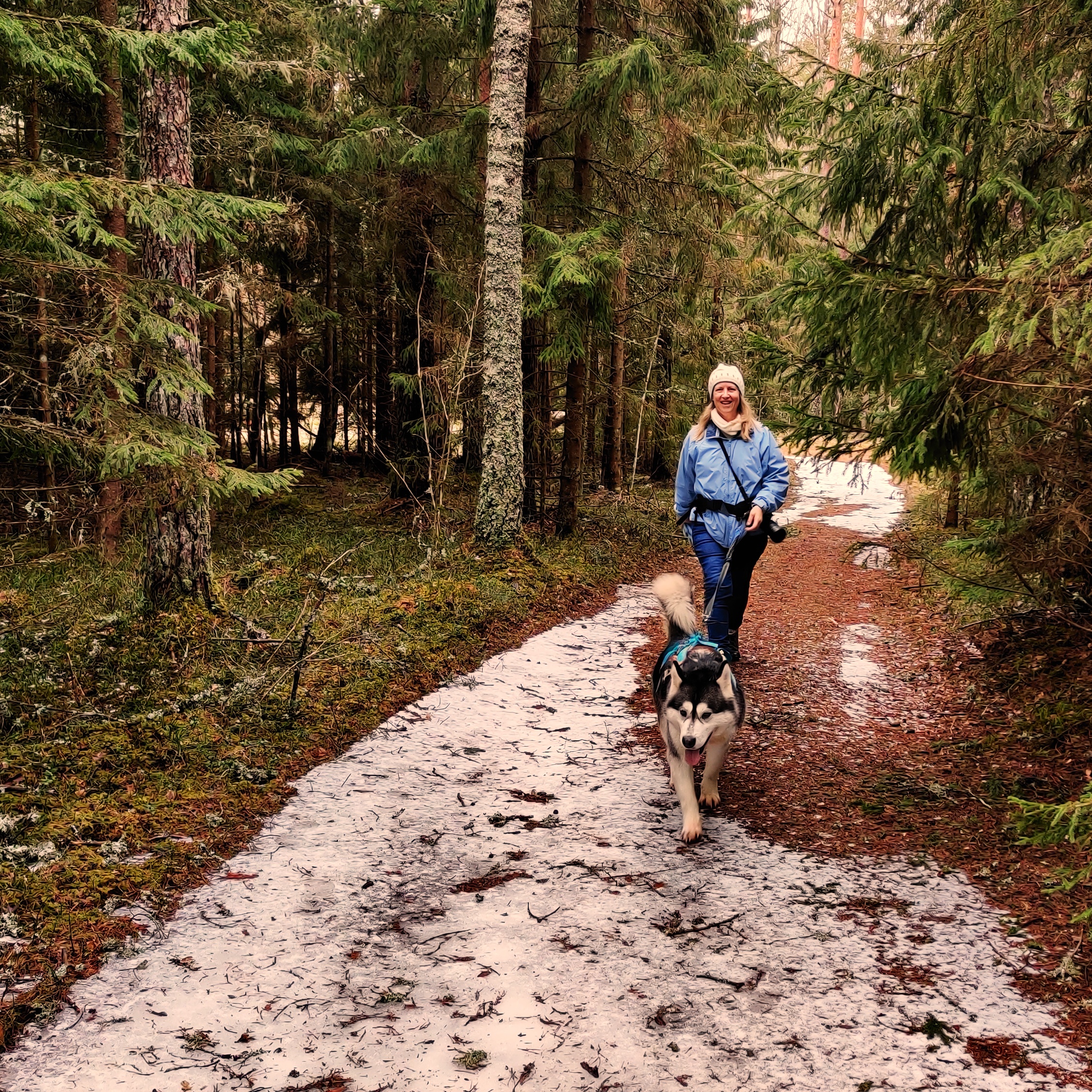 Sleddog Hike Spring Small Lapland Korvemaa