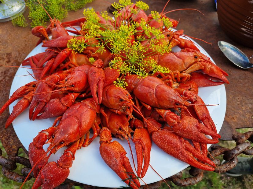 Wähja Festival (Crayfish Festival)
