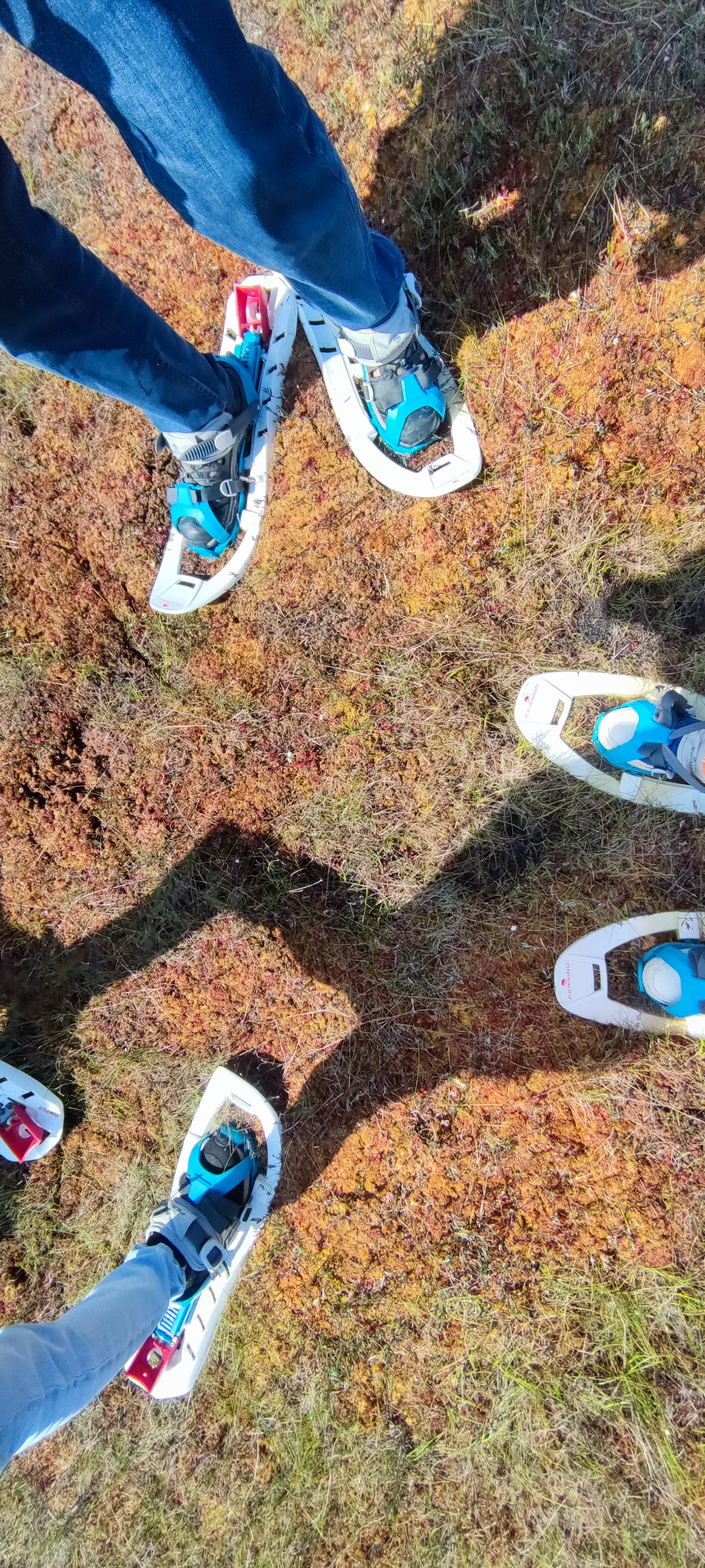 Discover the unique landscape of Põhja-Kõrvemaa on a trip to an enchanting bog. We will admire the beautiful views of the bog and immerse ourselves in