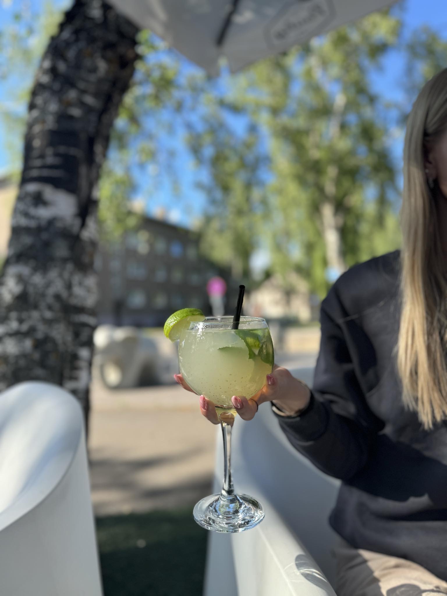 Jahutav Mojito Roosi Cafes