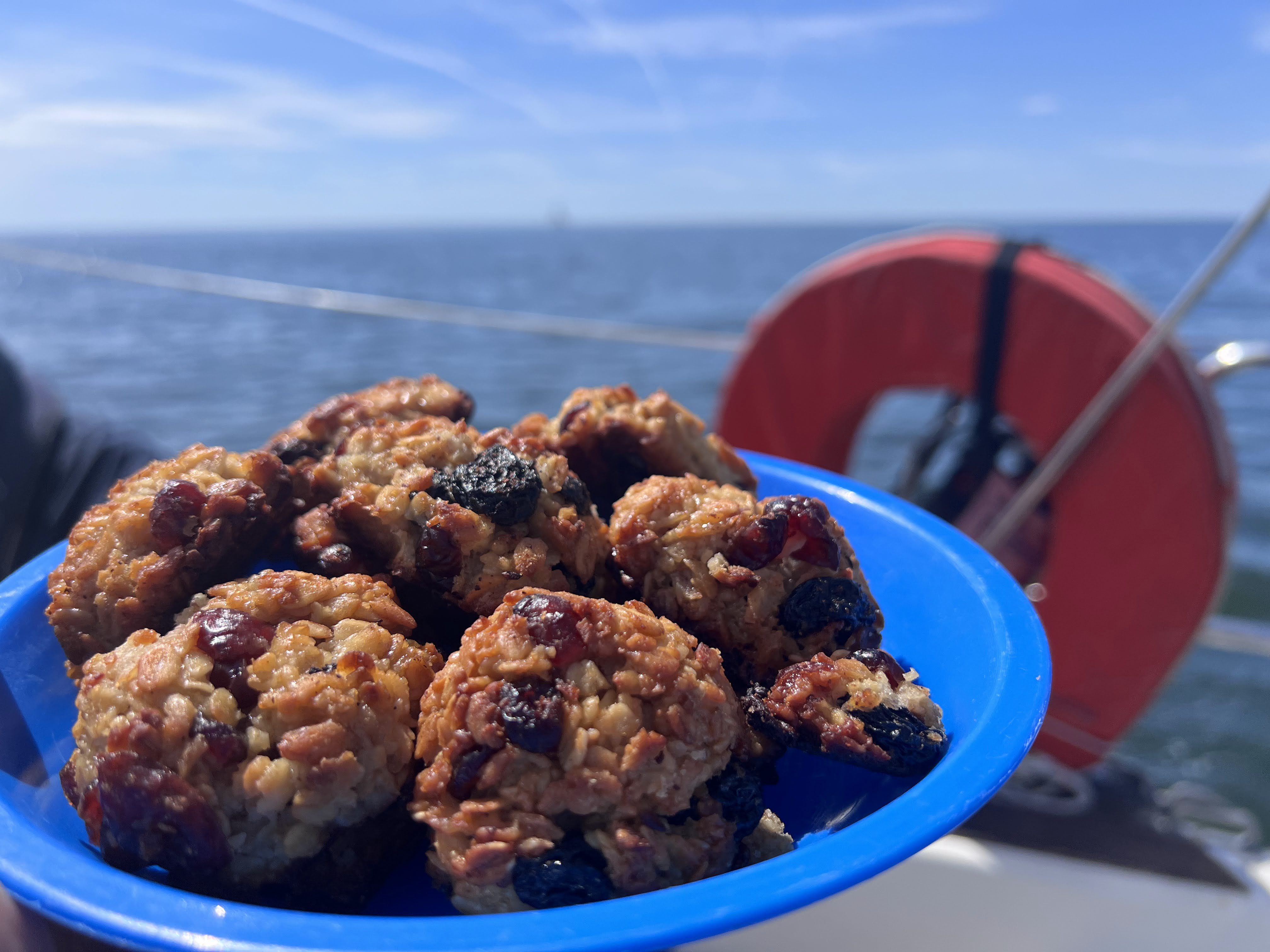 Windrose Cruising - Tasting