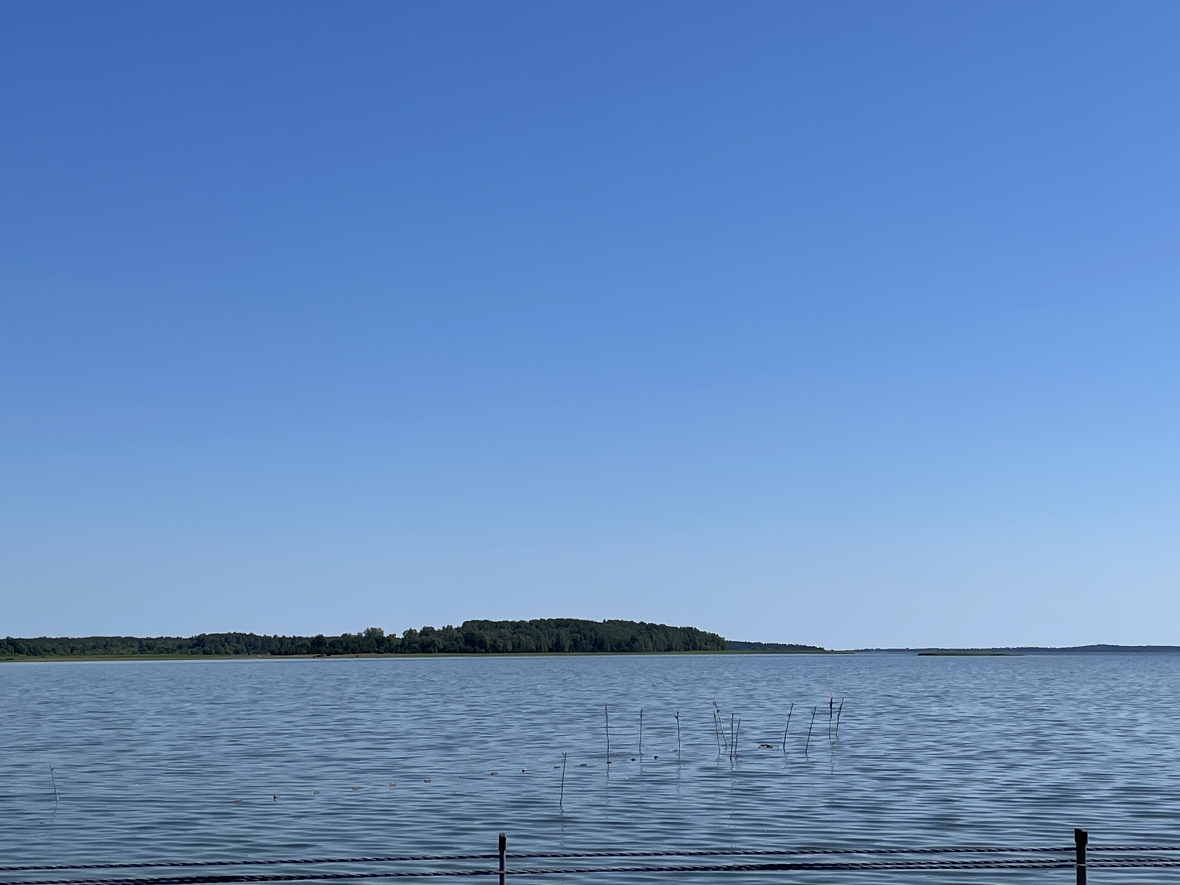 Vaade Väikese väina tammile