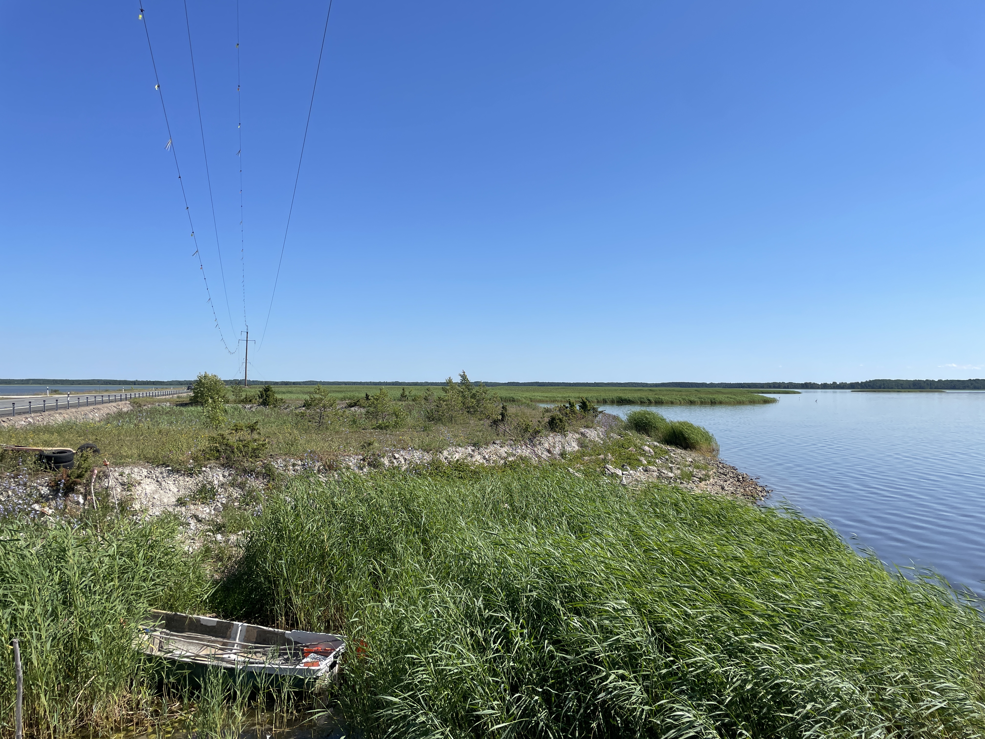 Vaade Väikese väina tammile