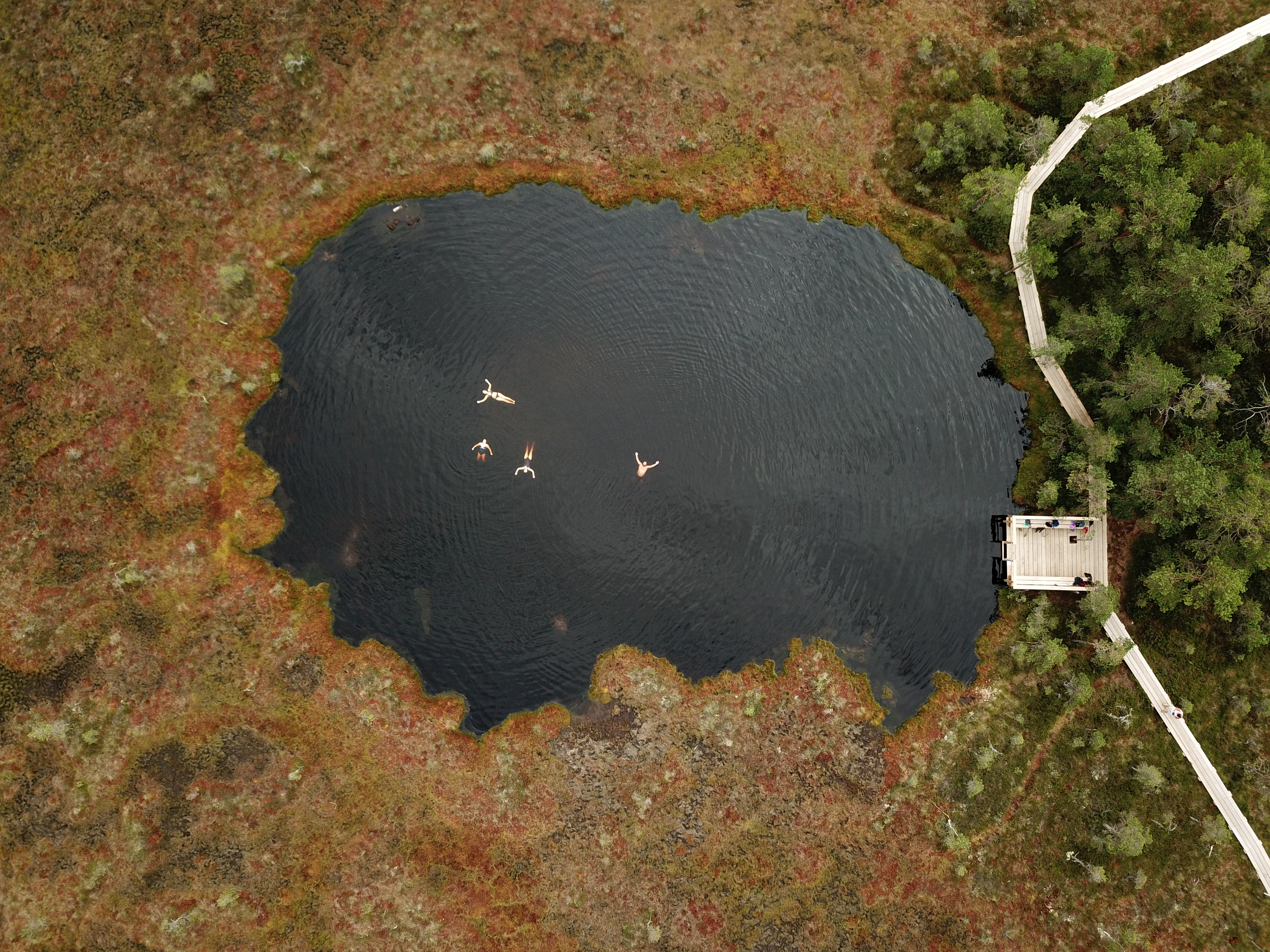 Seikle Vabaks wild swimming in a bog lake