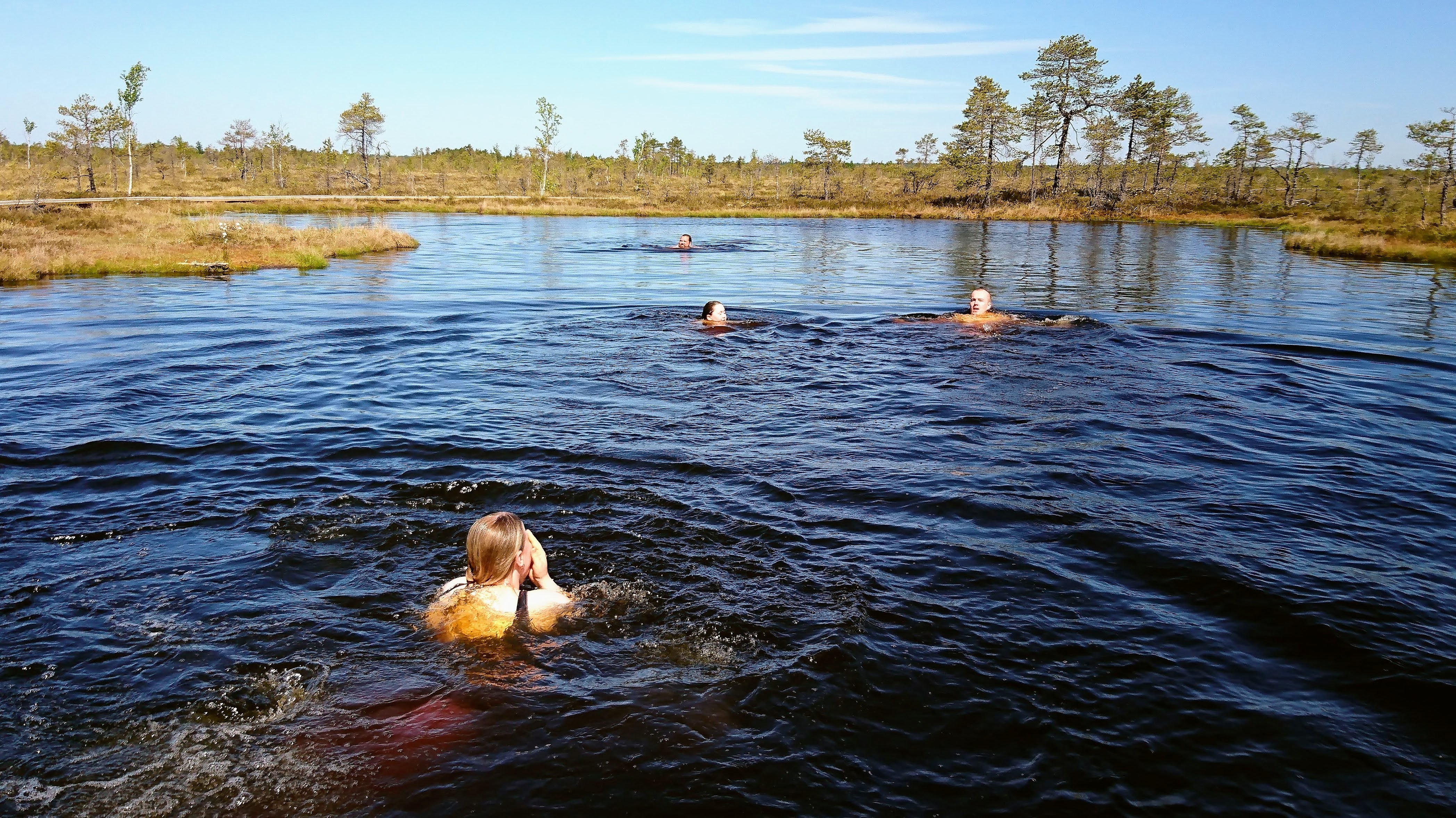 Swimming in a bog lake in Soomaa National Park