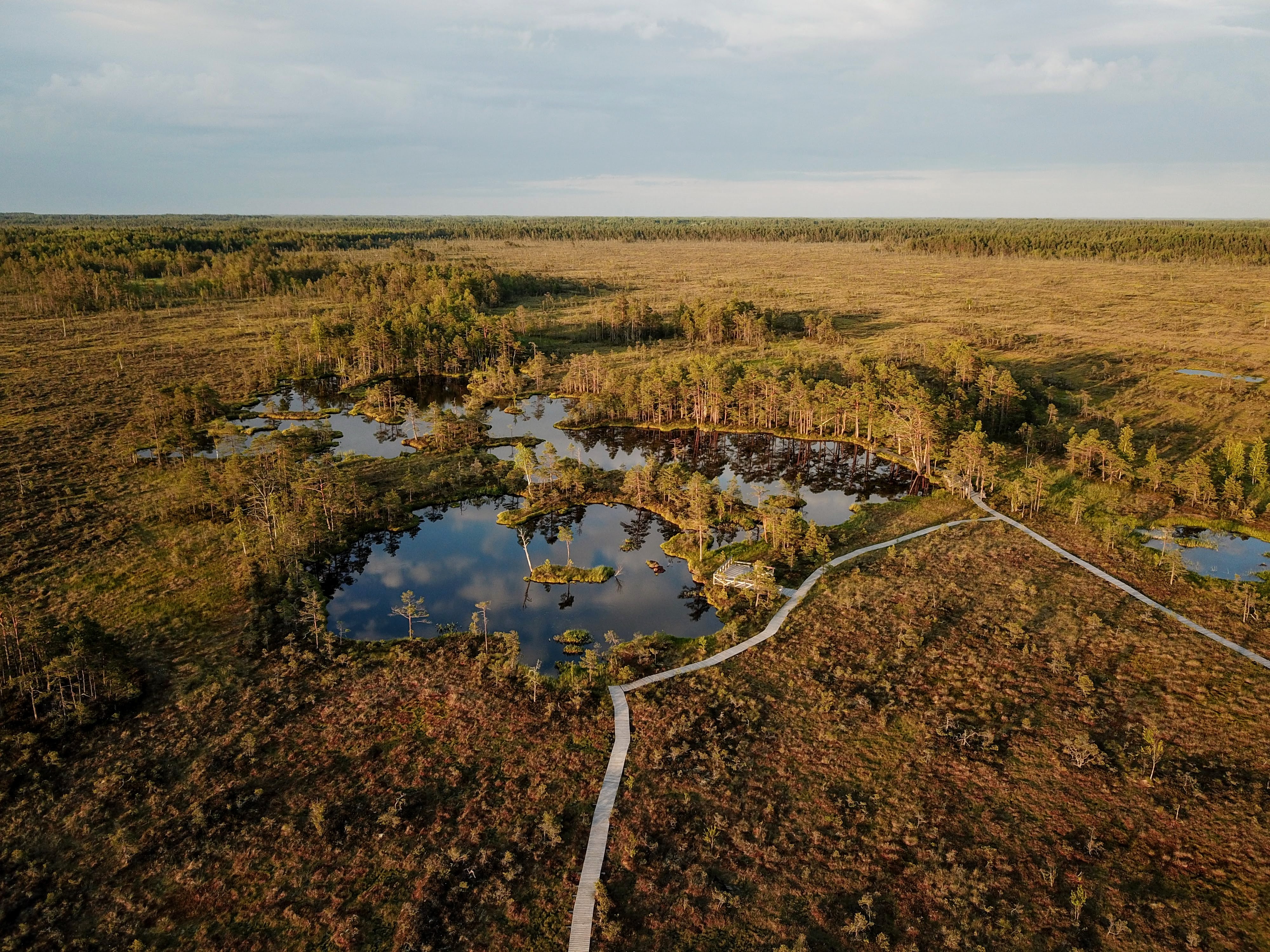 Gorgeous drone view of a beautiful bog