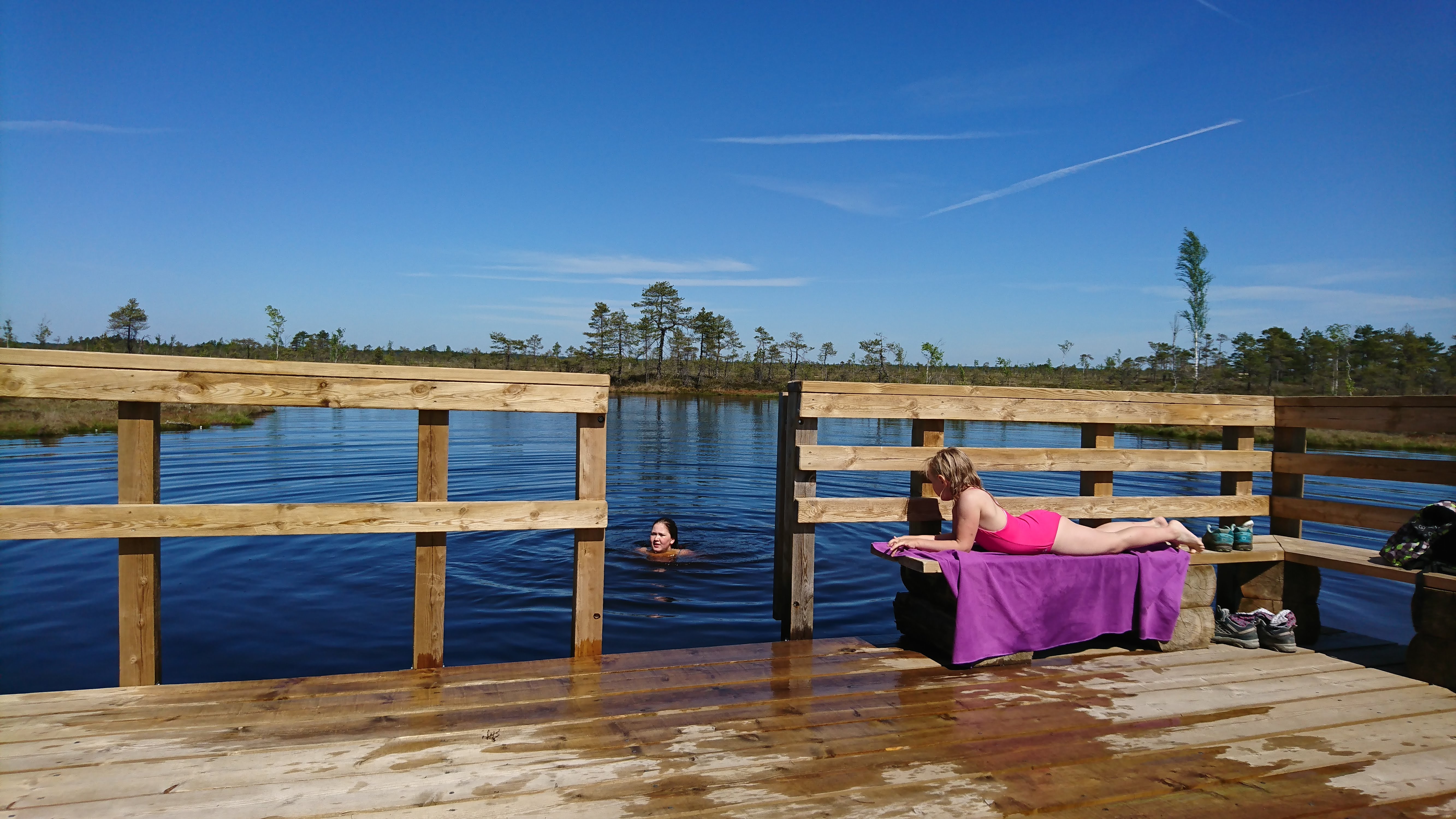 Summer swimming in a bog lake