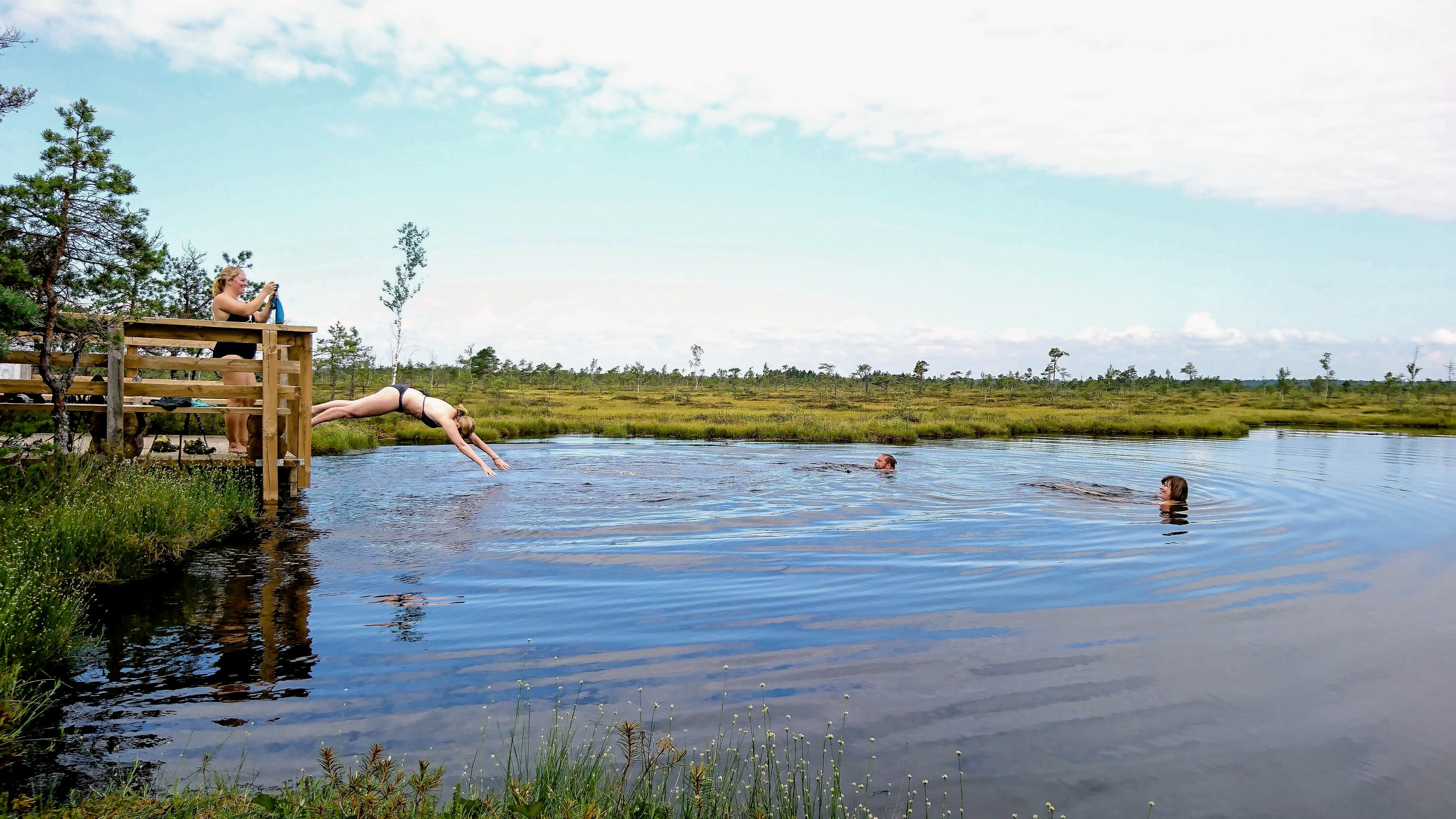 Enjoyable swimming in a bog lake on a hot summer day