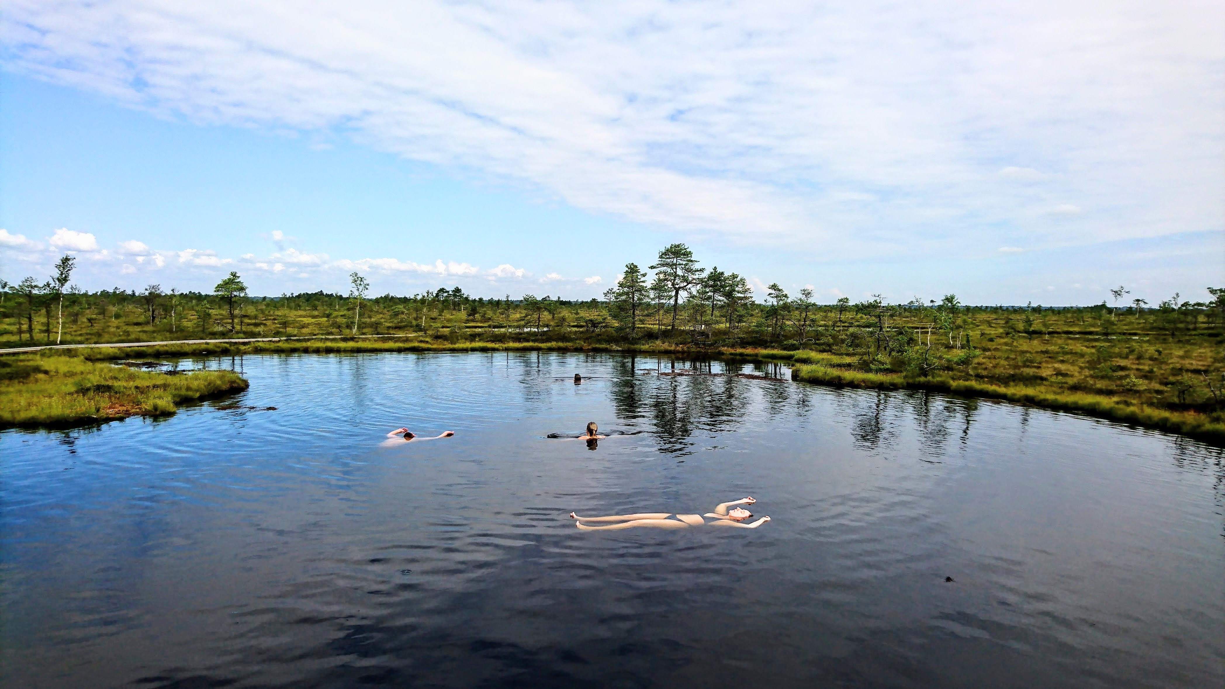 Relaxation in wild bog pool