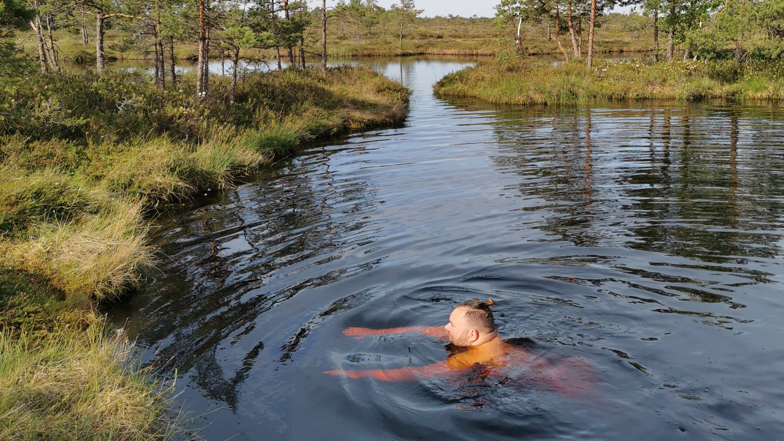 Swimming in a bog lake