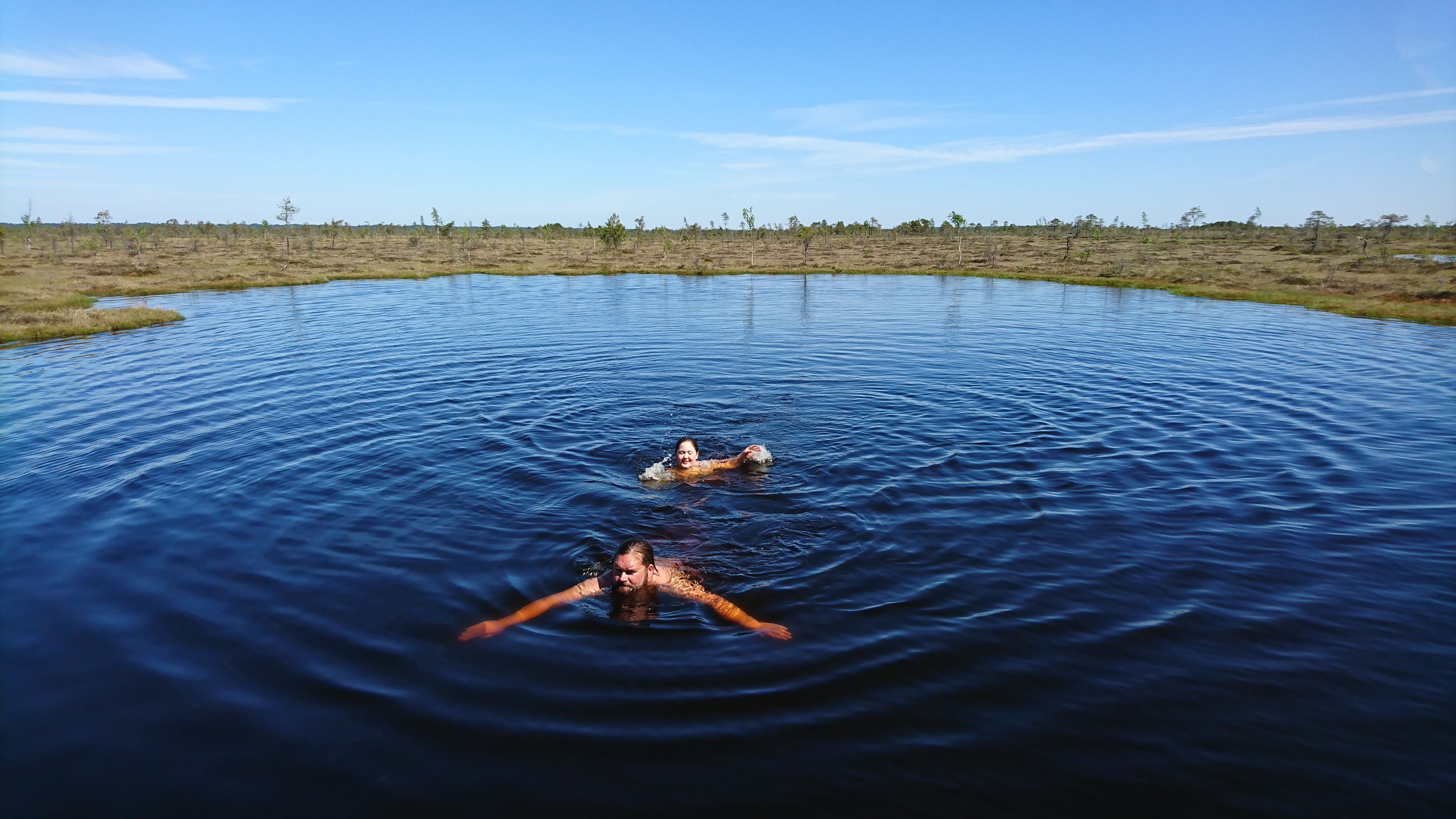 Bog-lake swimming on a warm summer day