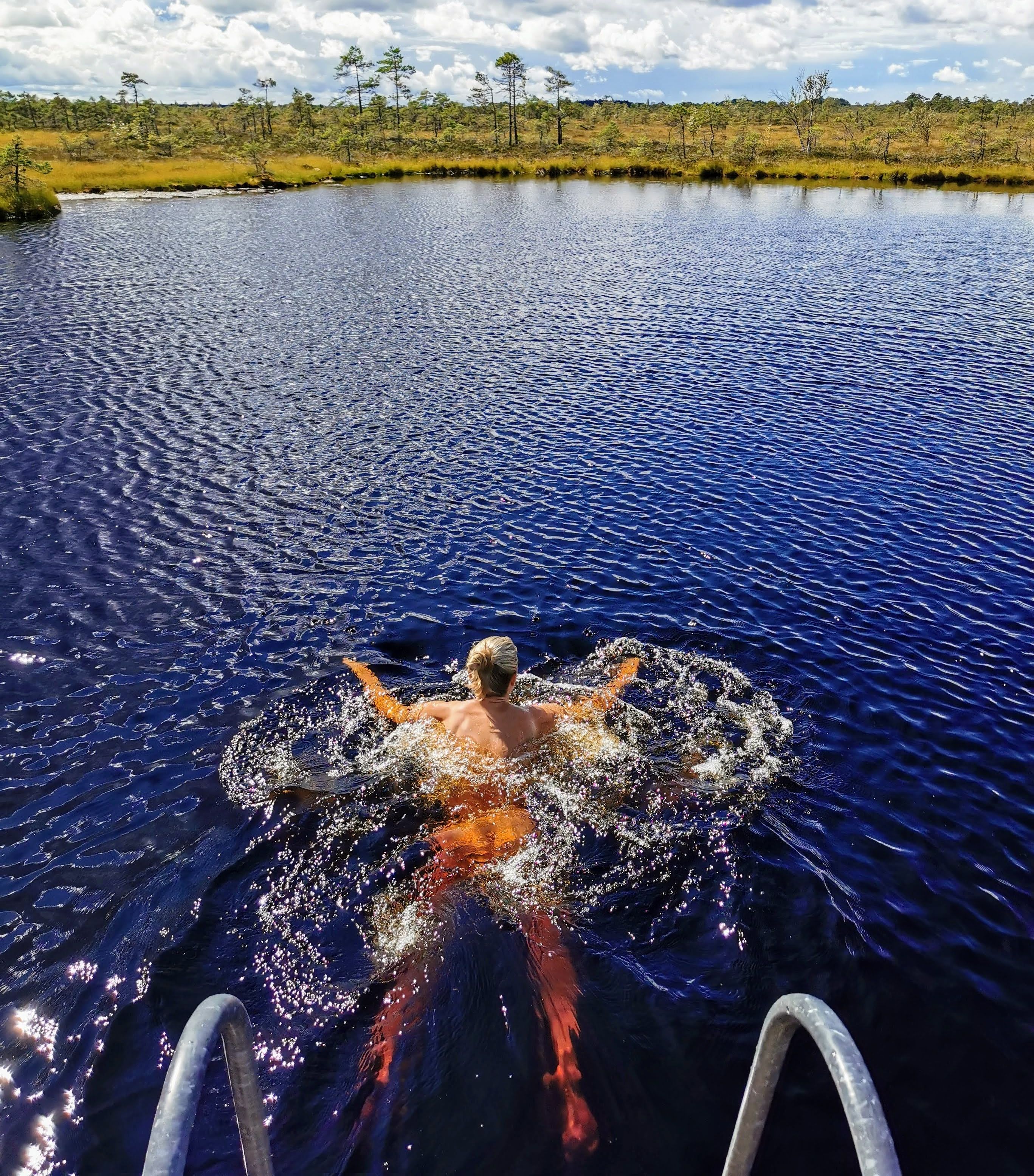 Refreshing bog-lake swimming