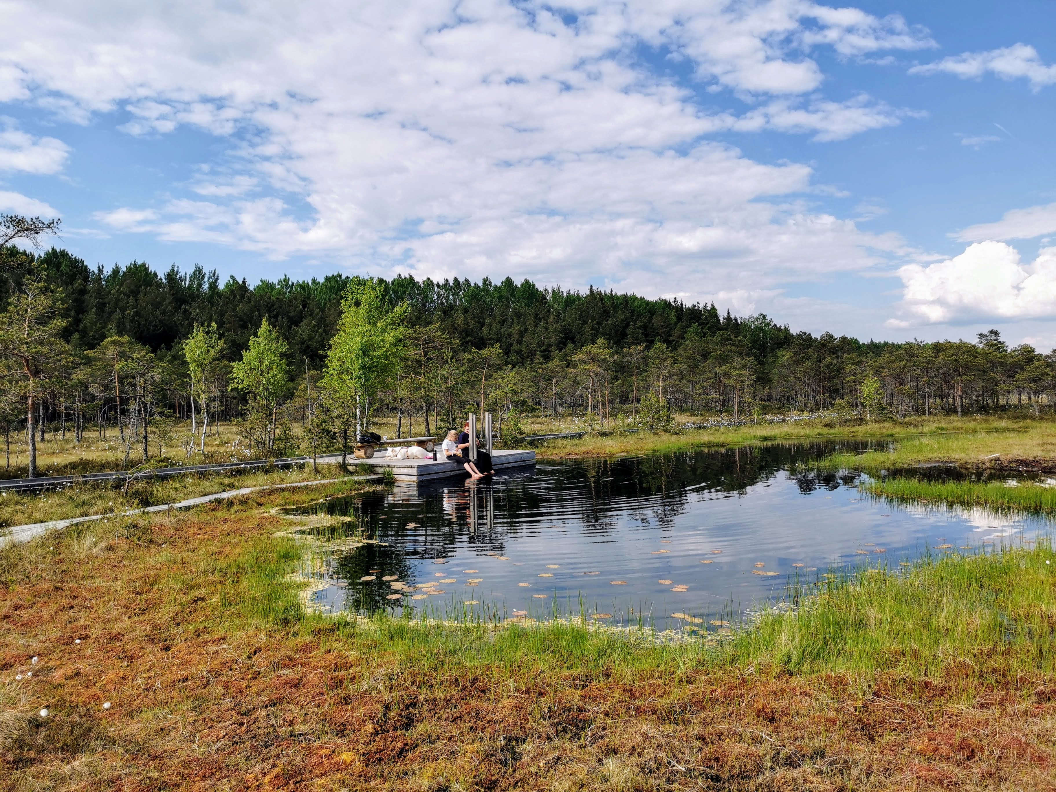 Bog lake