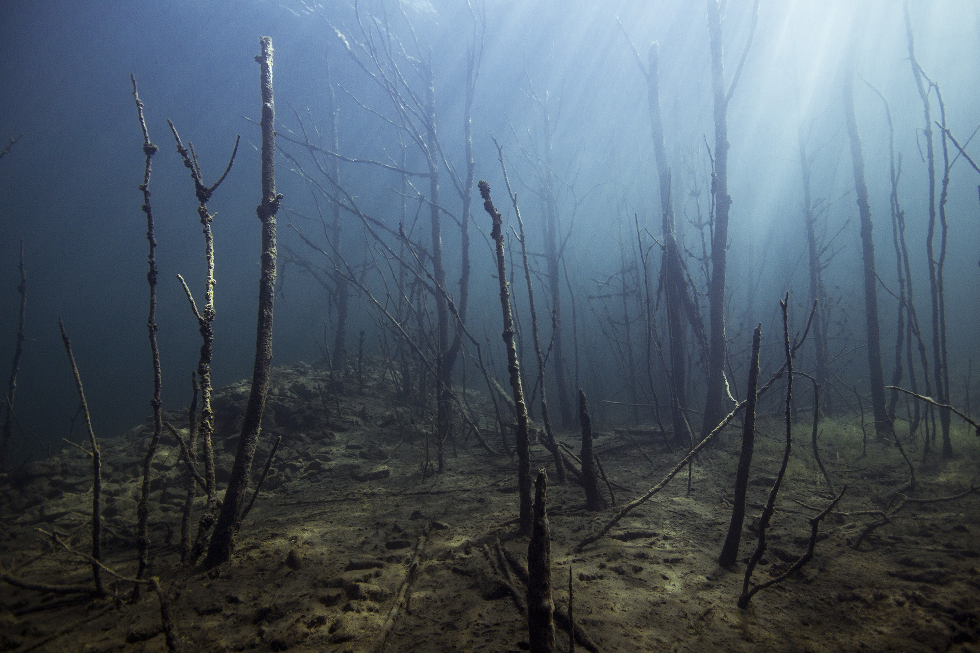 Diving in Rummu Quarry