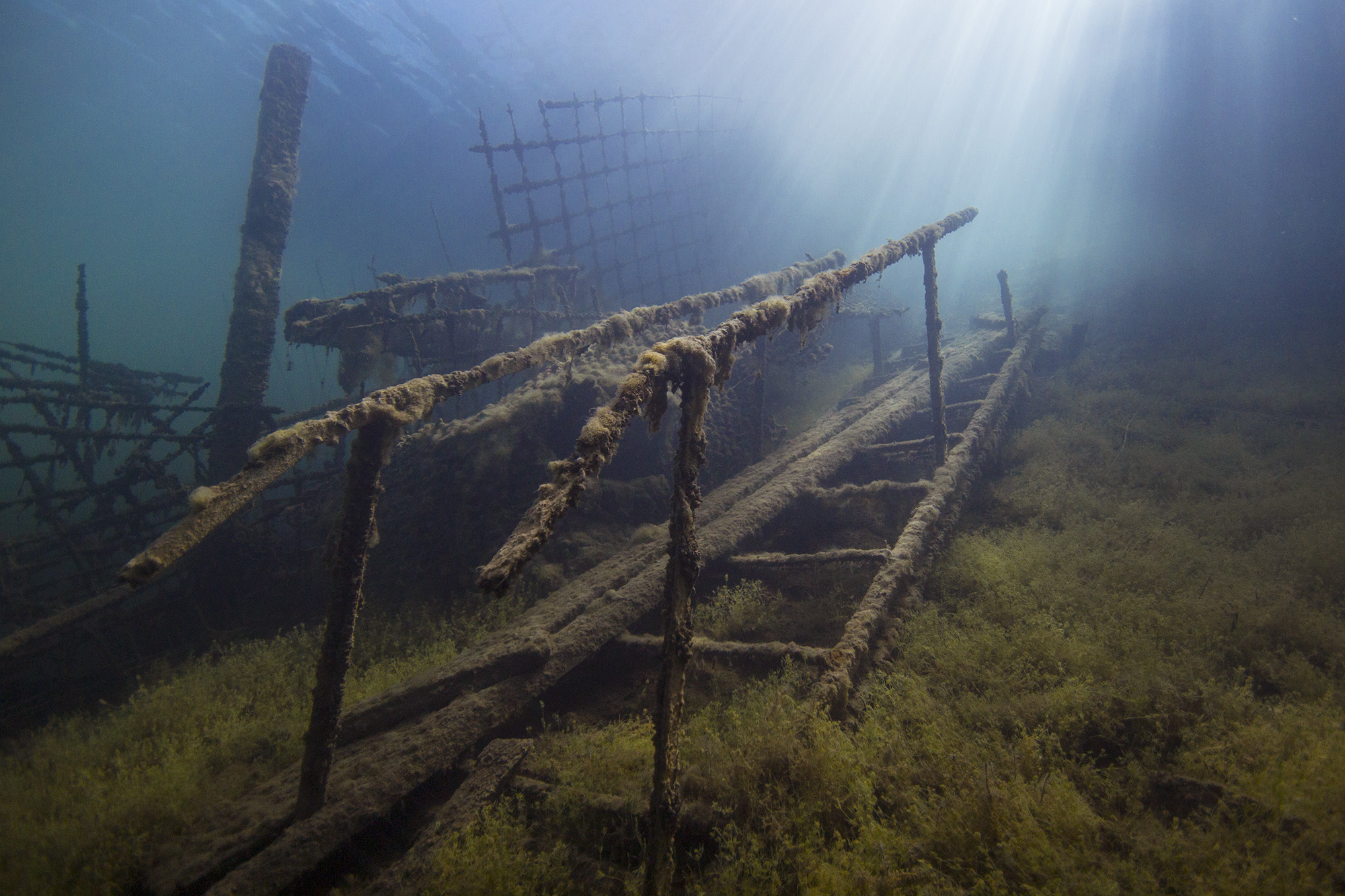 Underwater world and diving in Rummu Quarry