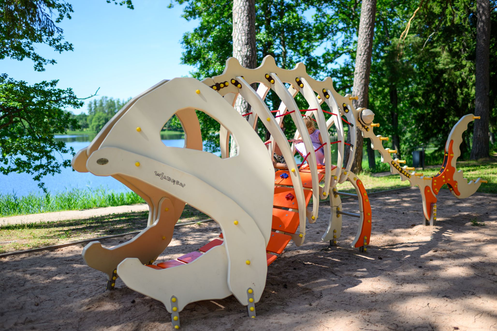 Fish at the Pühajärve Beach children's playground 