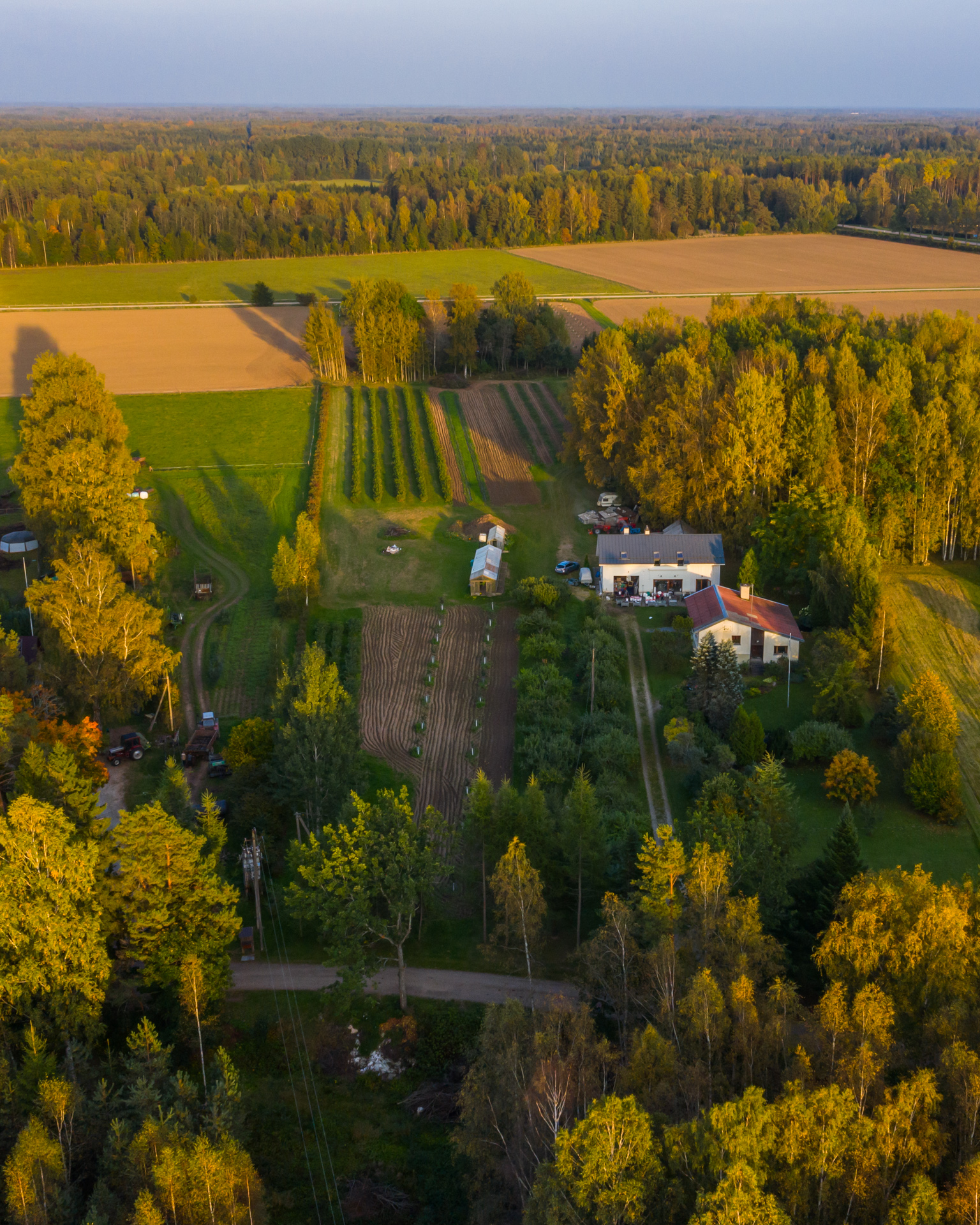Langemaa veinimaja