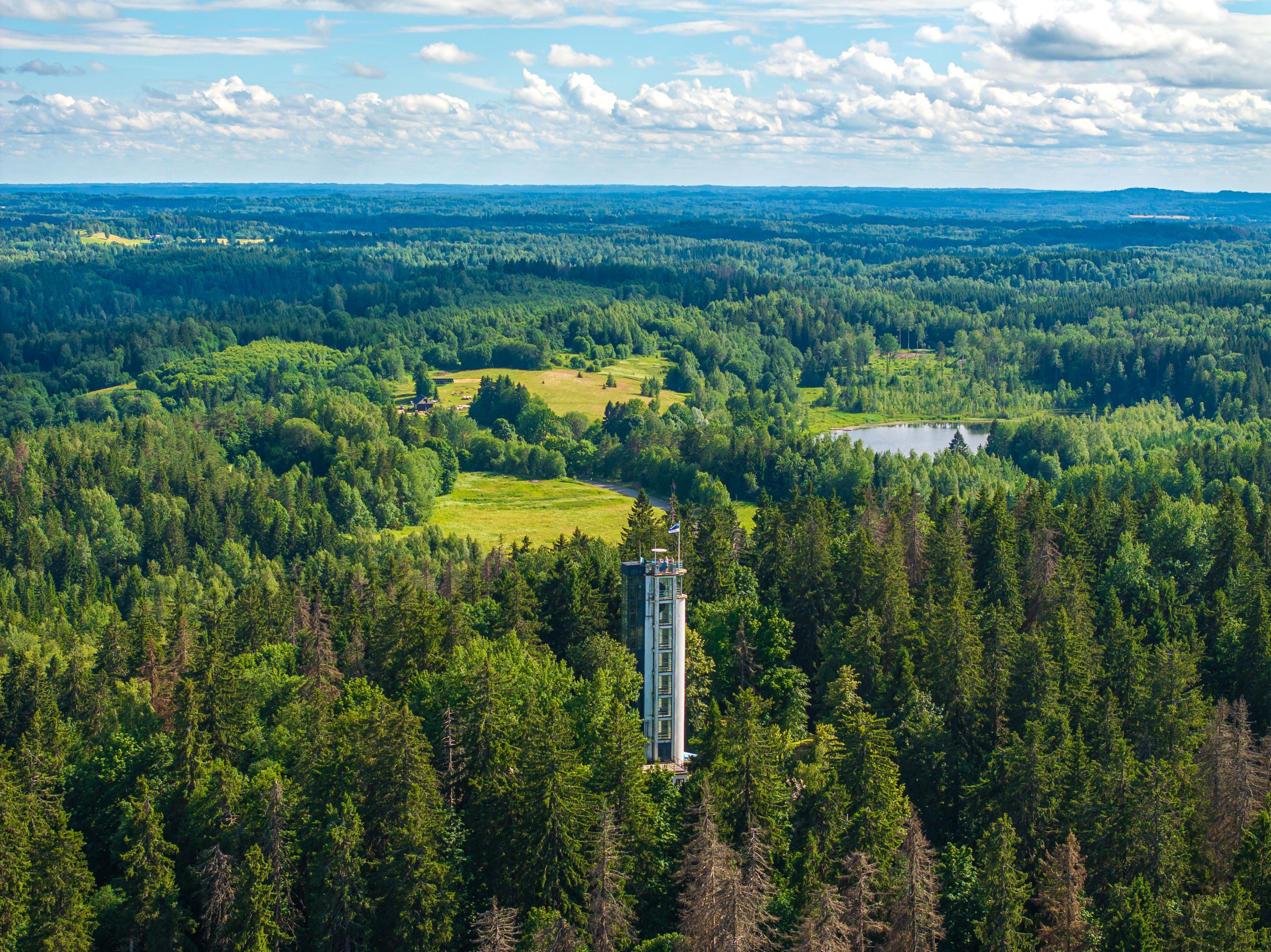 Suure Munamäe vaatetorn