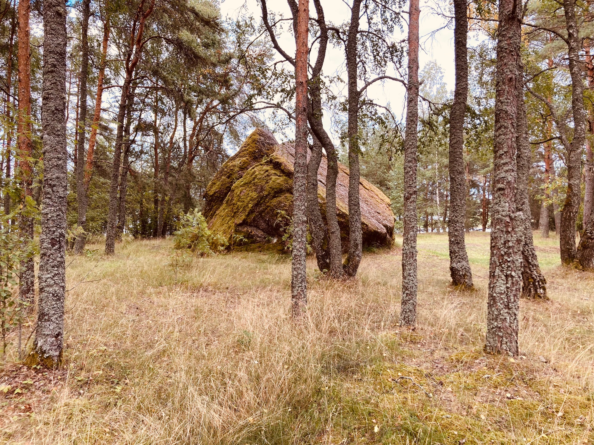 Männiku hiidrahn
