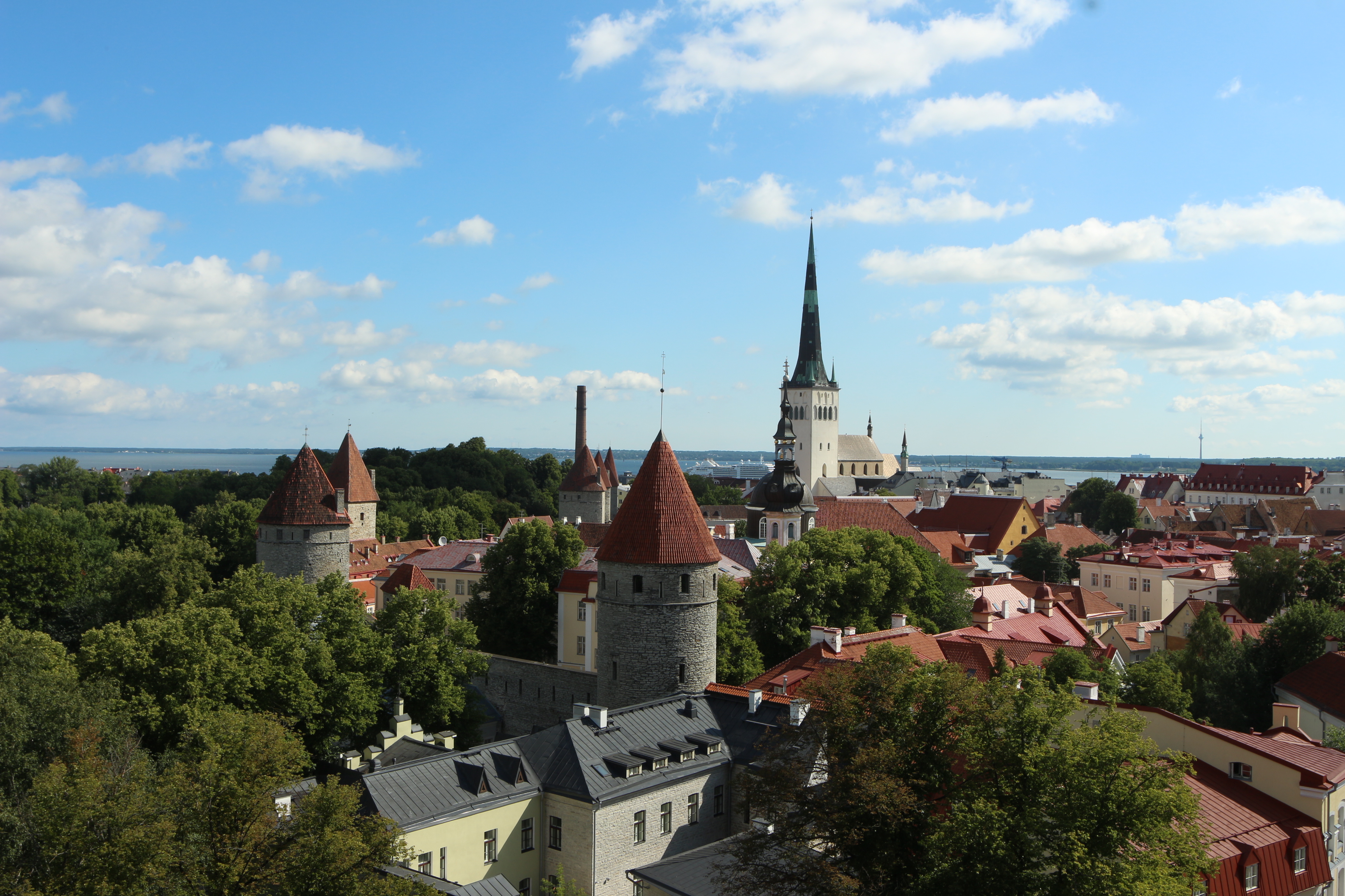 Tallinna vanalinn, Patkuli