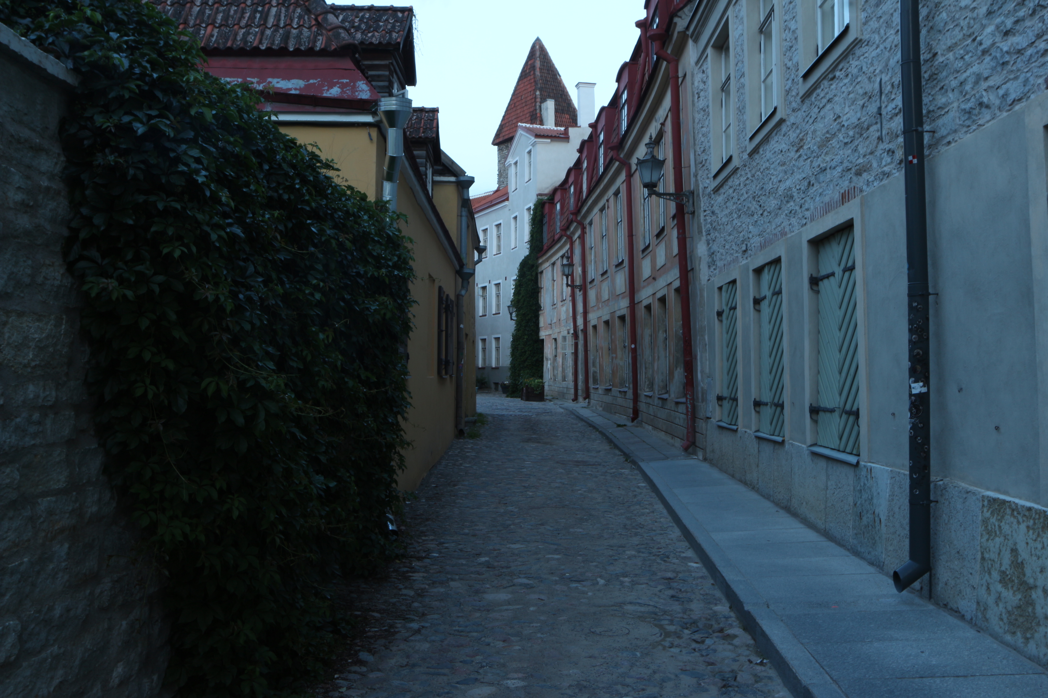 Laboratory Street in Tallinn's Old Town