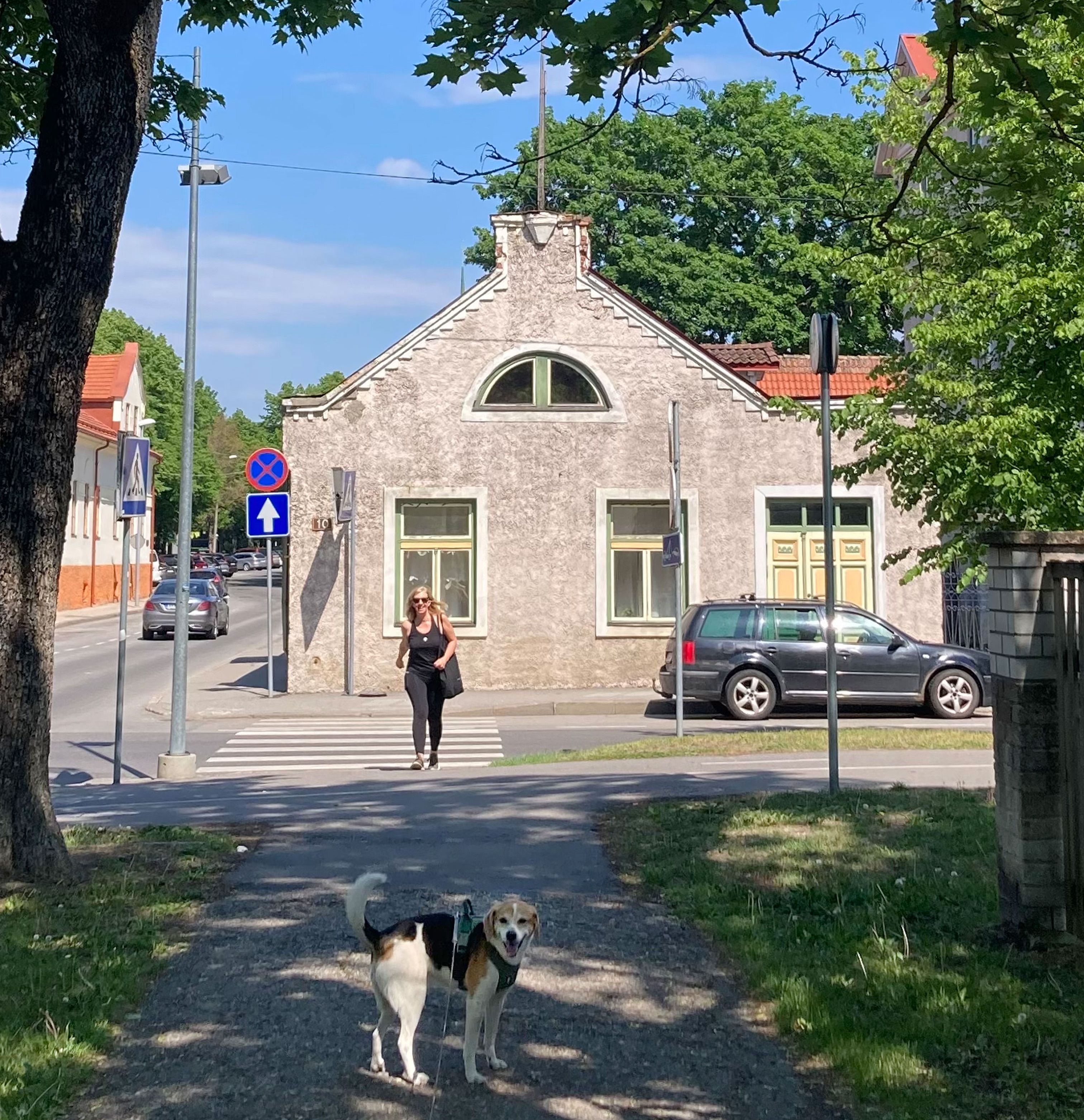 Vaade majale