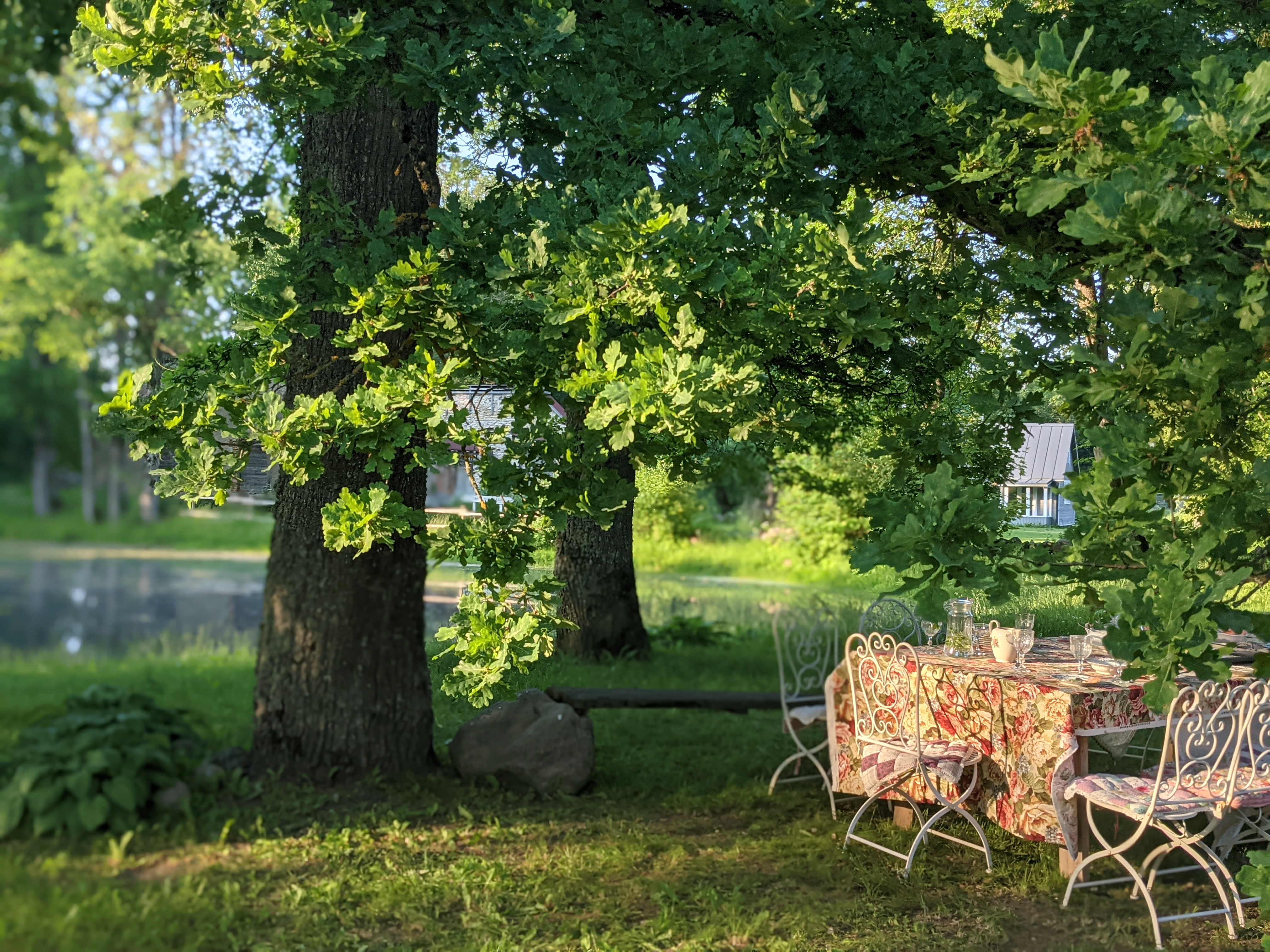 Anija mõisa park